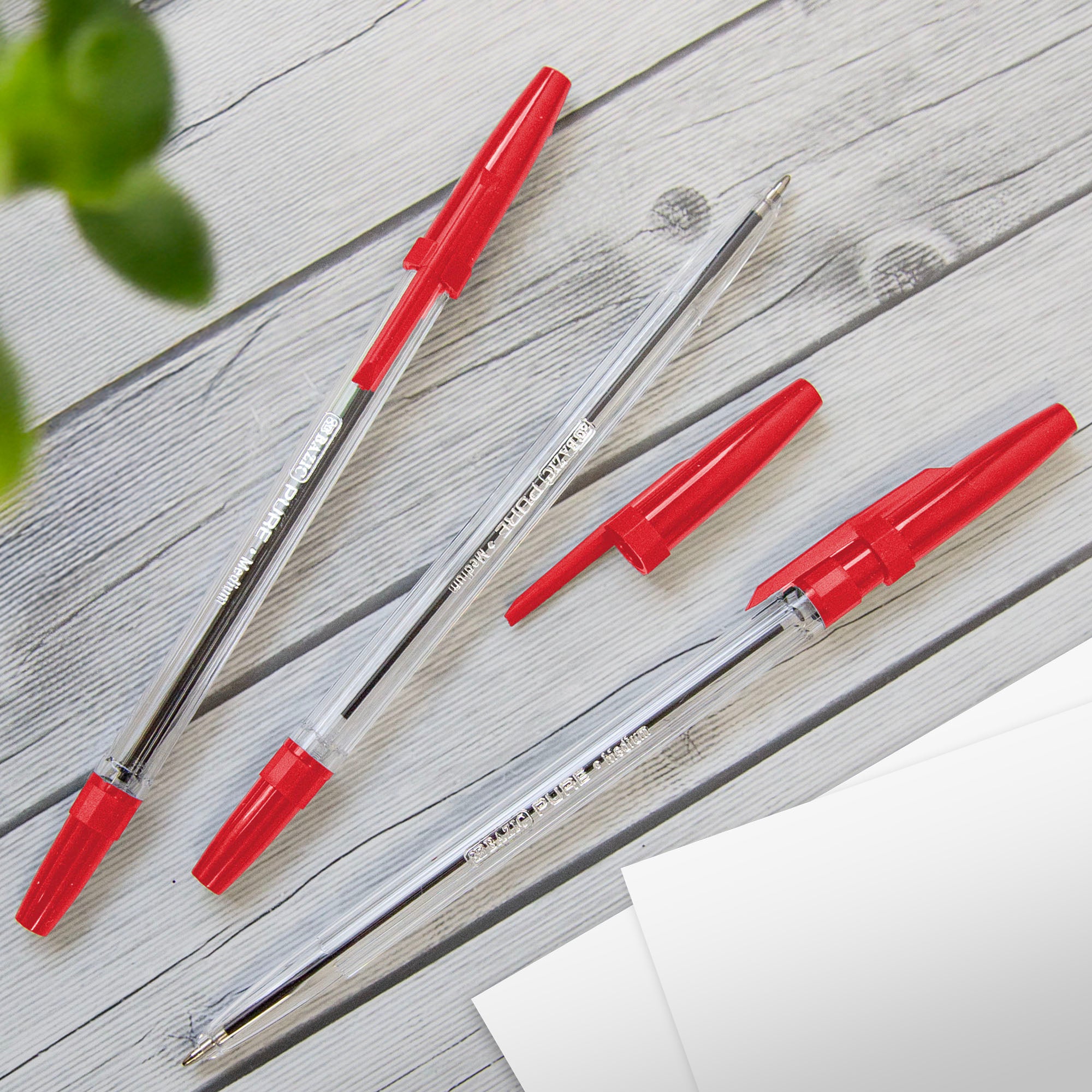 Pure Red Stick Pen (12/Pack)