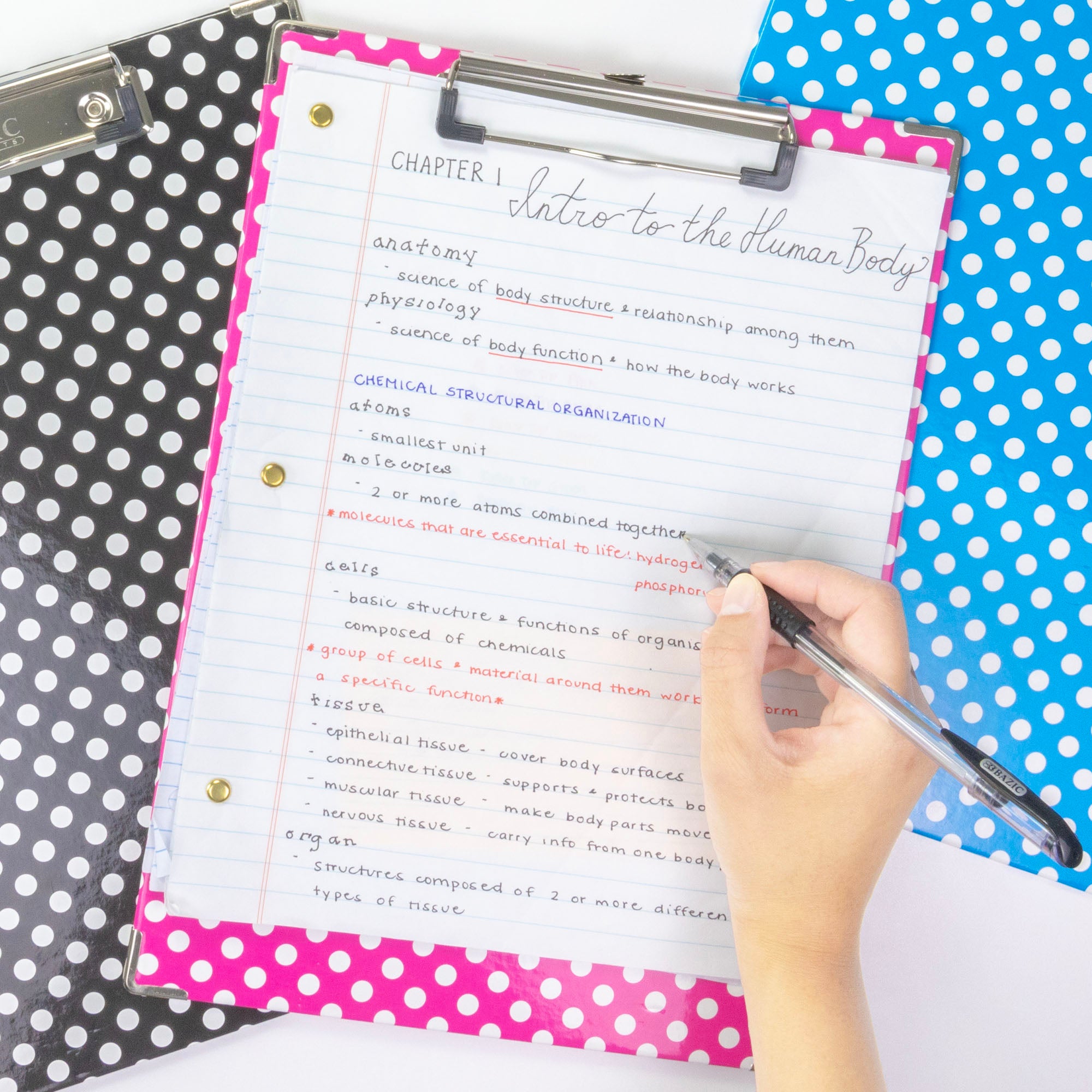 Standard Size Confetti Polka Dot Paperboard Clipboard w/ Low Profile Clip