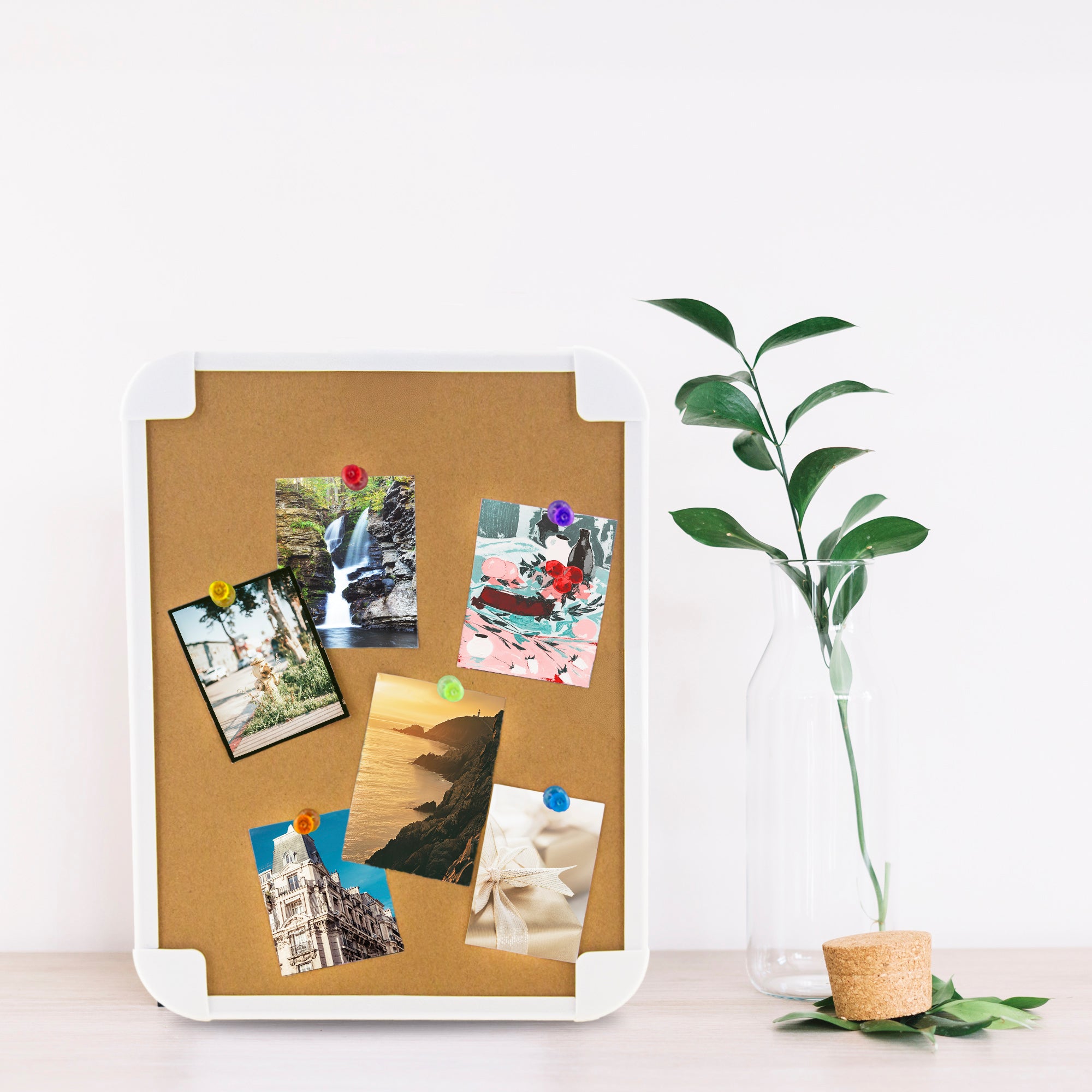 Assorted Translucent Color Push Pins (100/Pack)