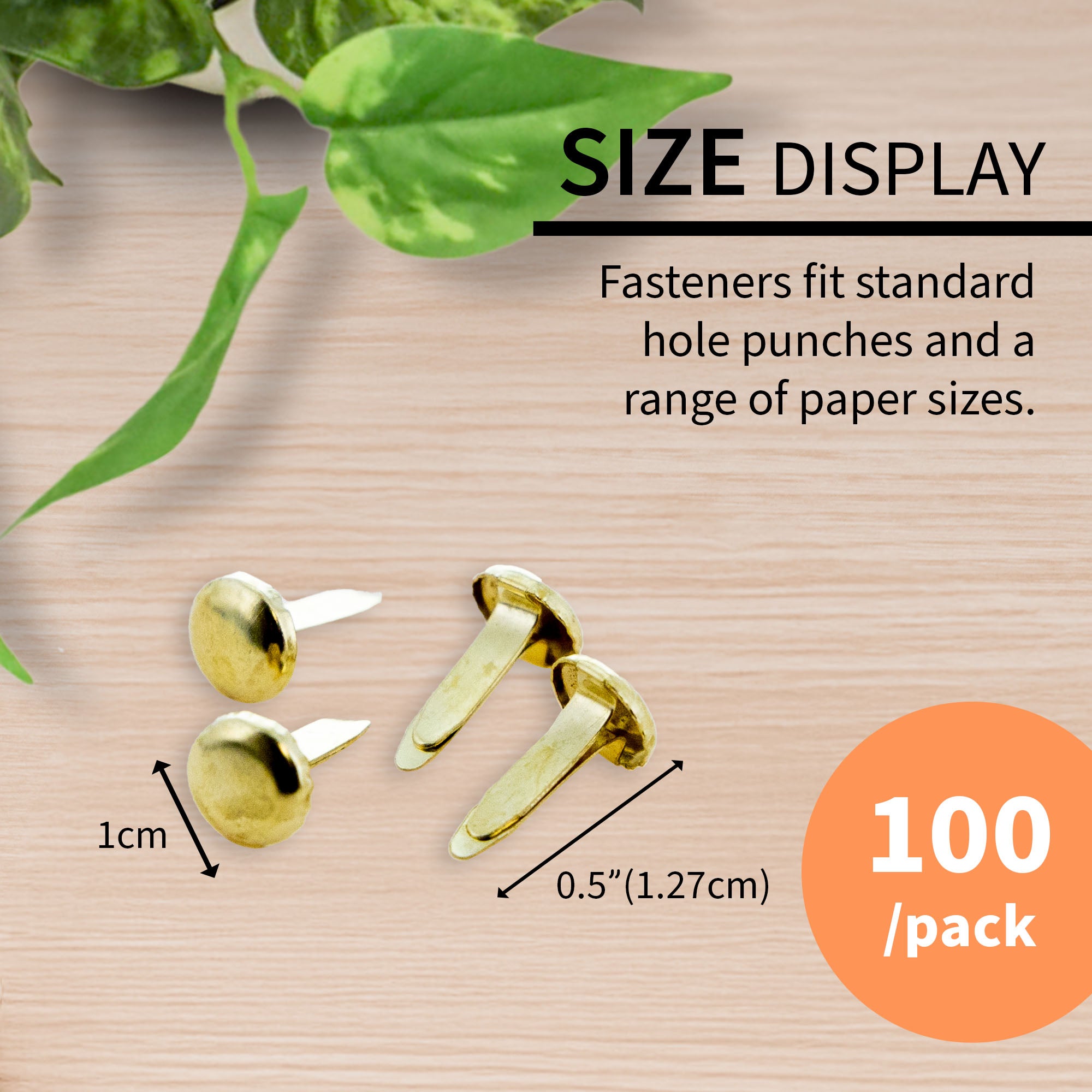 1/2" Brass-Plated Fasteners (100/Pack)