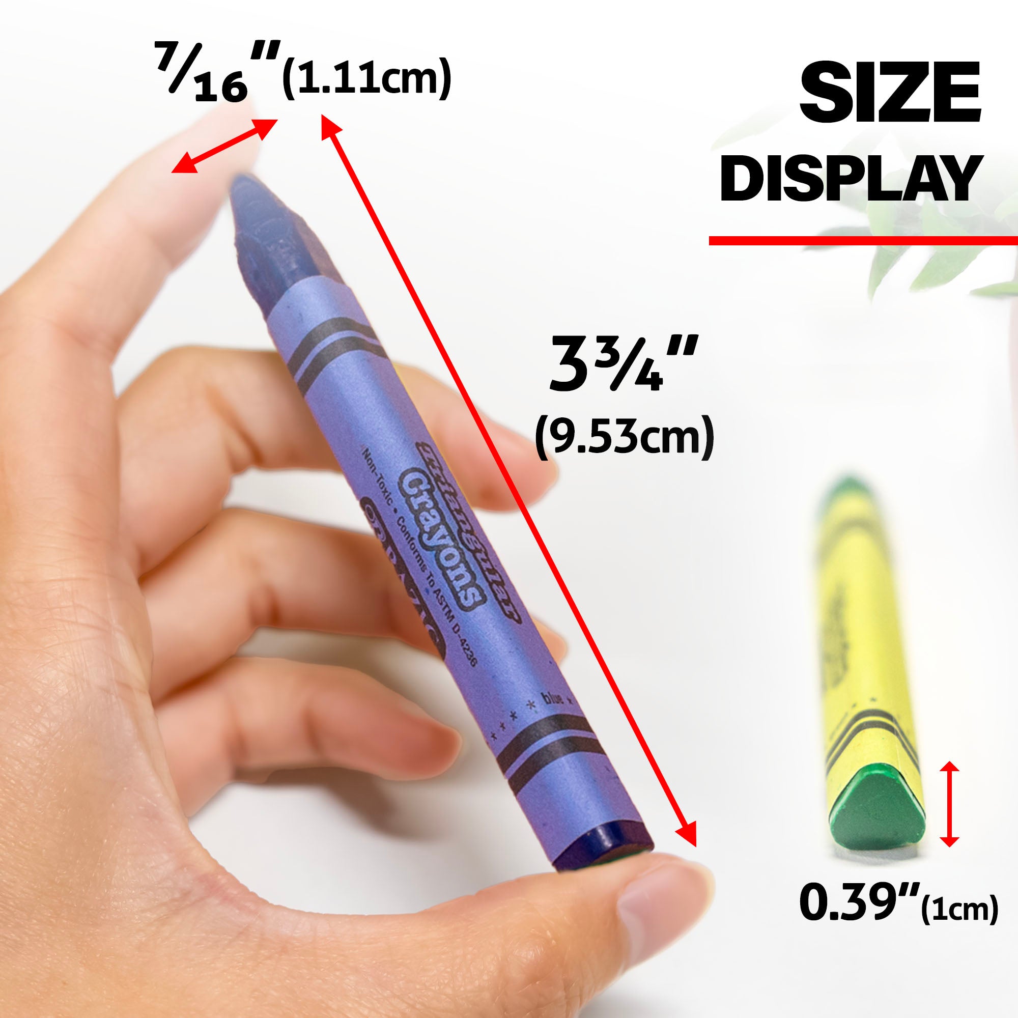 BAZIC Premium Jumbo Triangle Crayons 8 Color – BAZIC Store