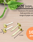 1" Brass Fastener (100/Pack)