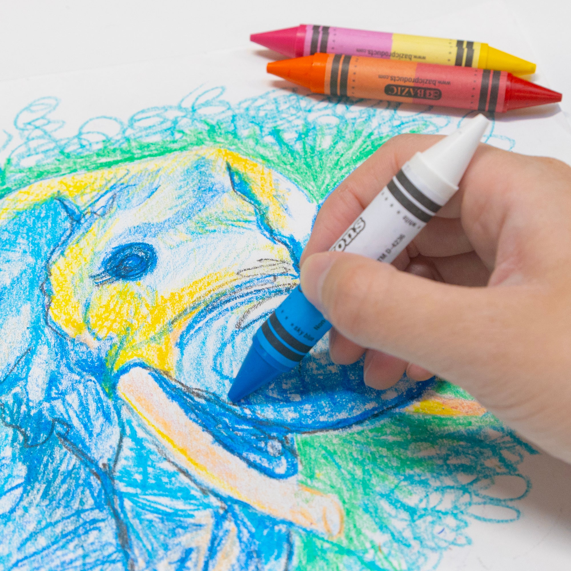 12 Color Double-Ended Premium Super Jumbo Crayons