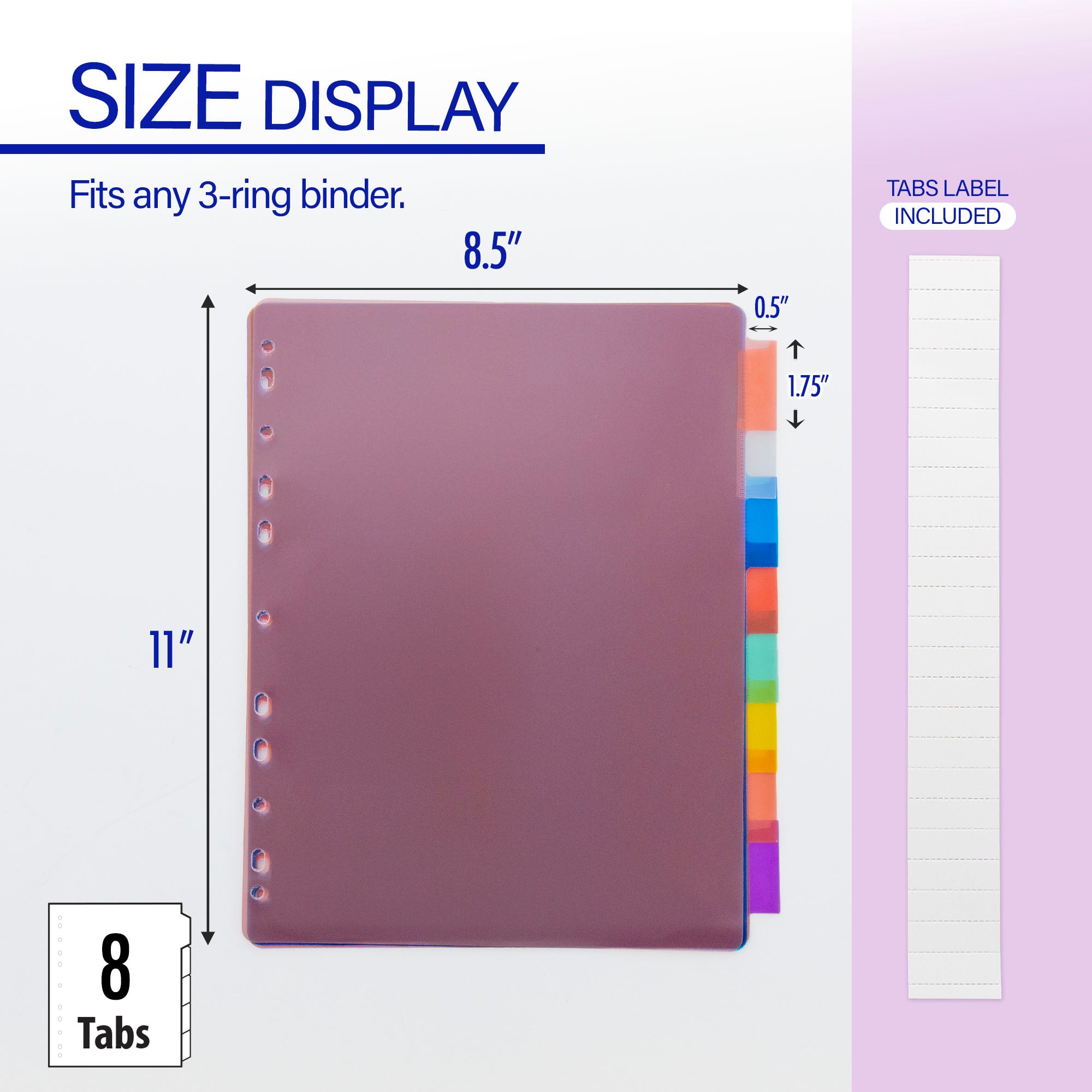Dividers w/ 8-Insertable Color Tabs