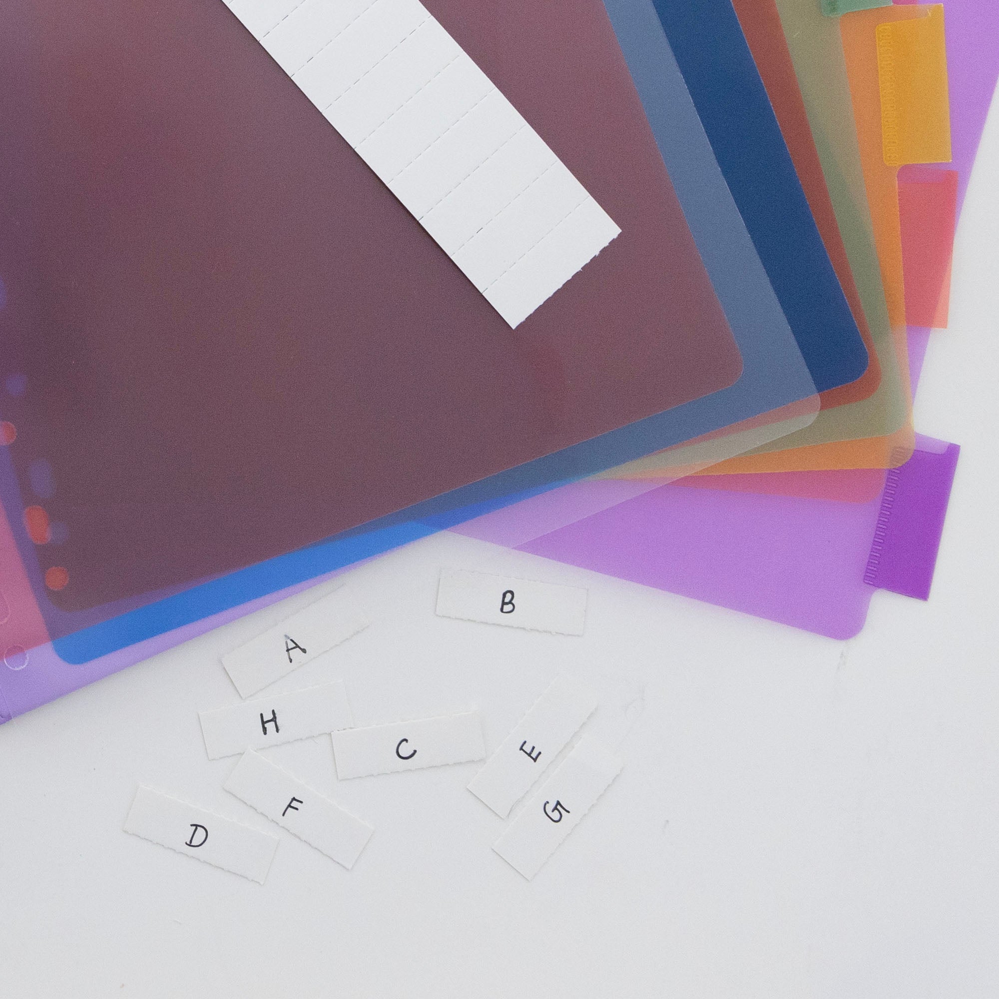 Dividers w/ 8-Insertable Color Tabs