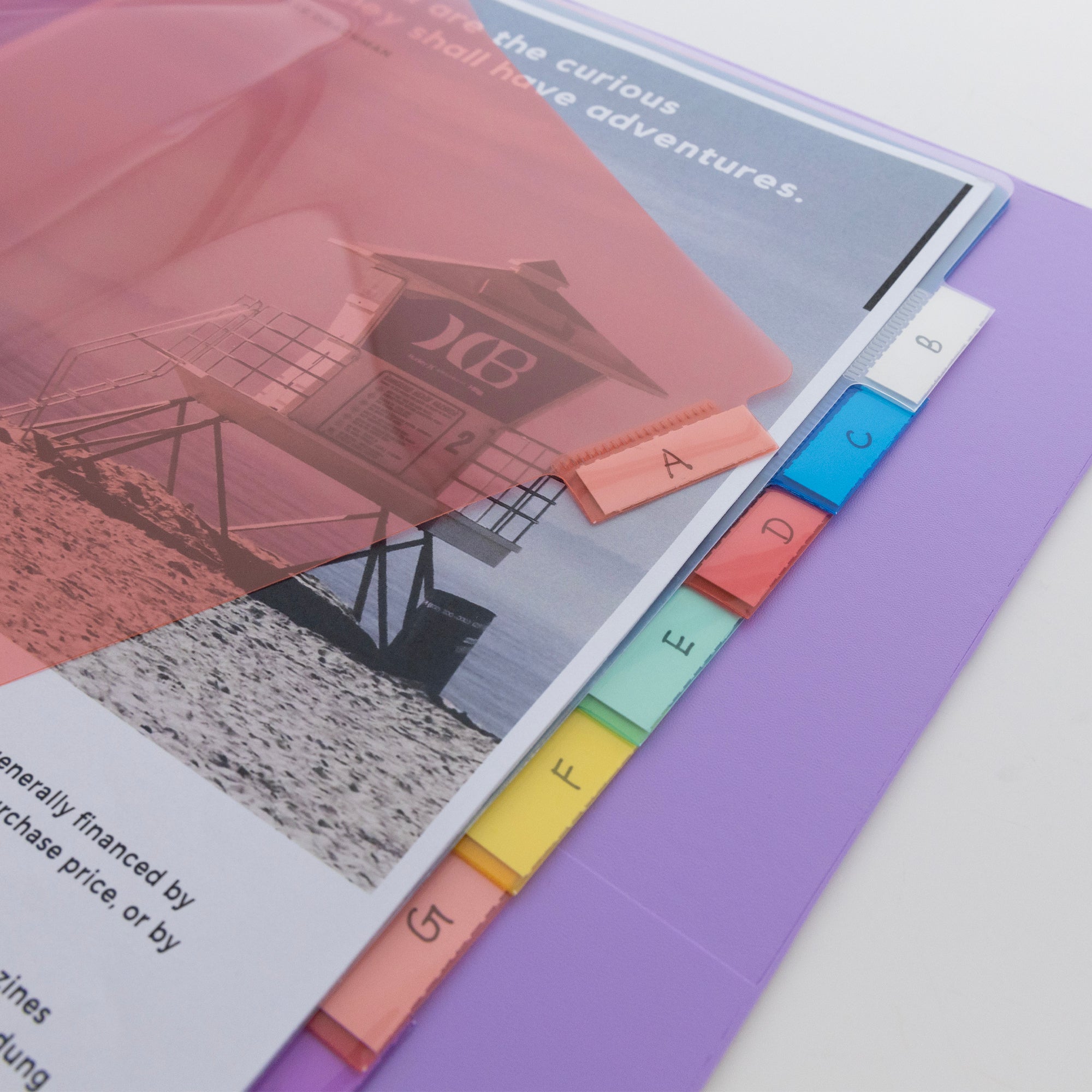 Dividers w/ 8-Insertable Color Tabs