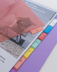 Dividers w/ 8-Insertable Color Tabs