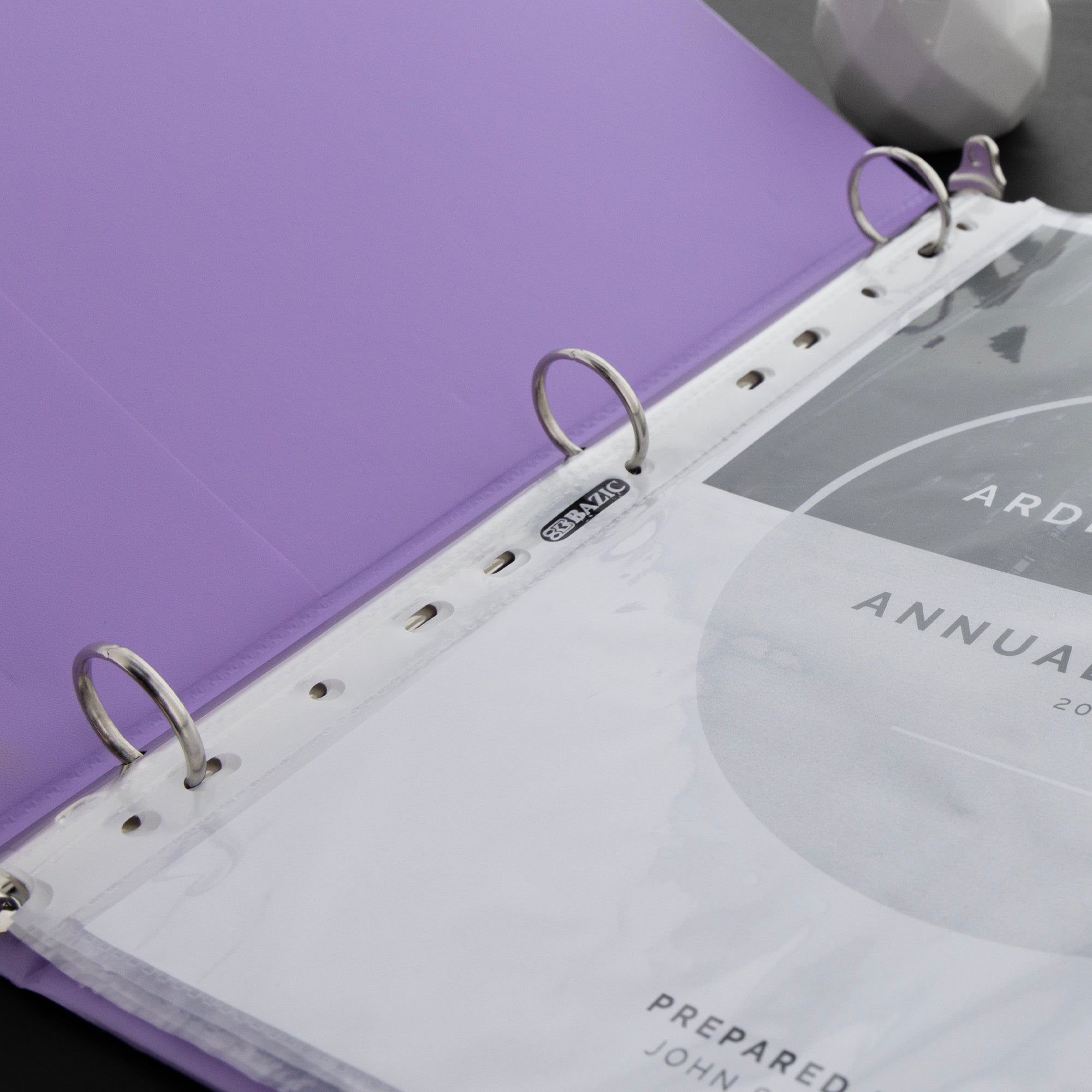 Economy Weight Top Loading Sheet Protectors (10/Pack)