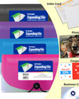 13-Pocket Check Size Poly Expanding File