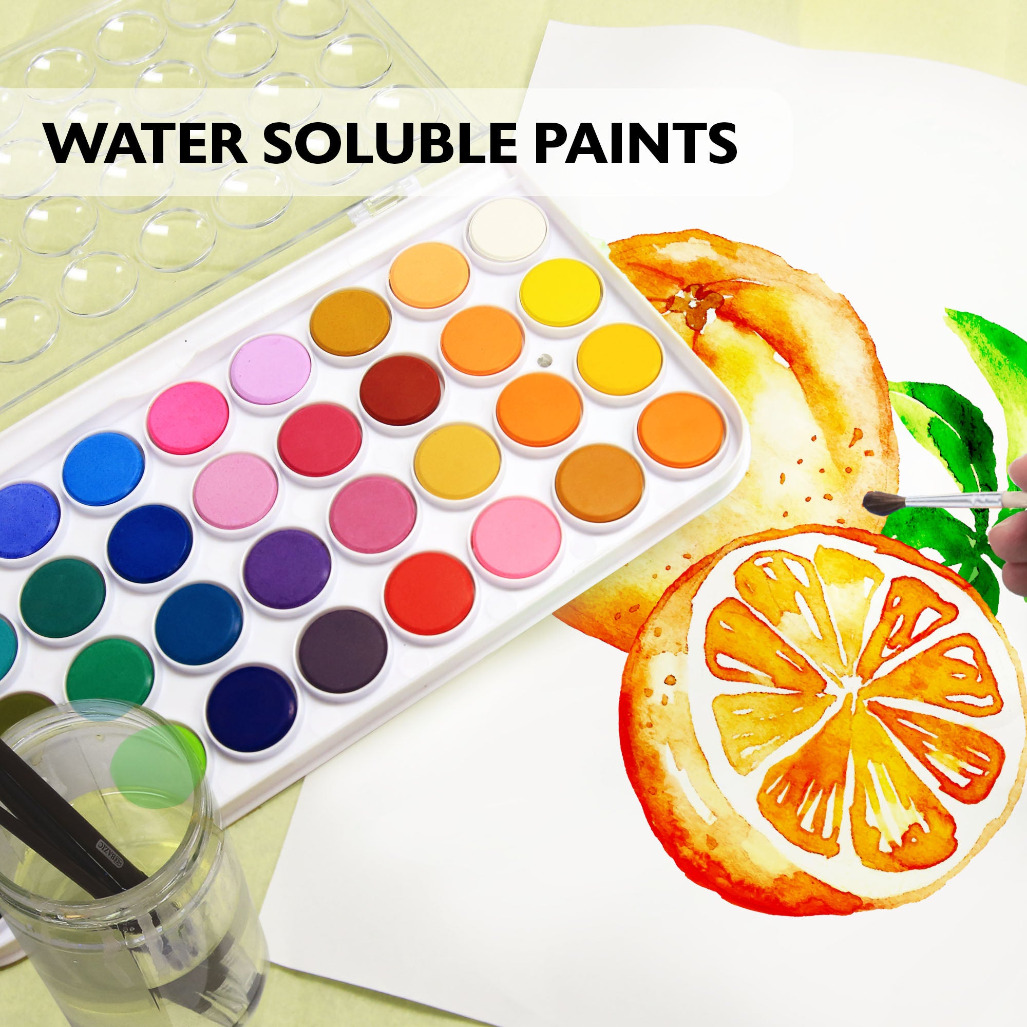 36 Ct. Watercolor w/ Brush