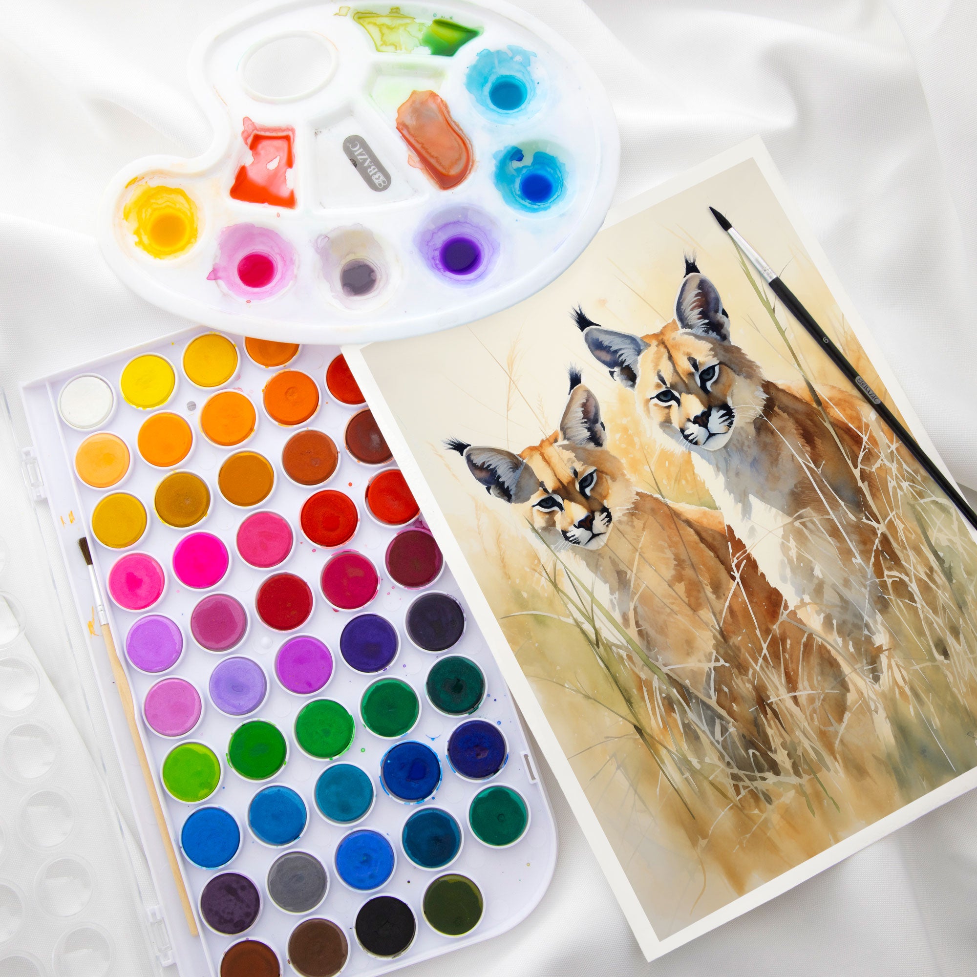 48 Ct. Watercolor w/ Brush