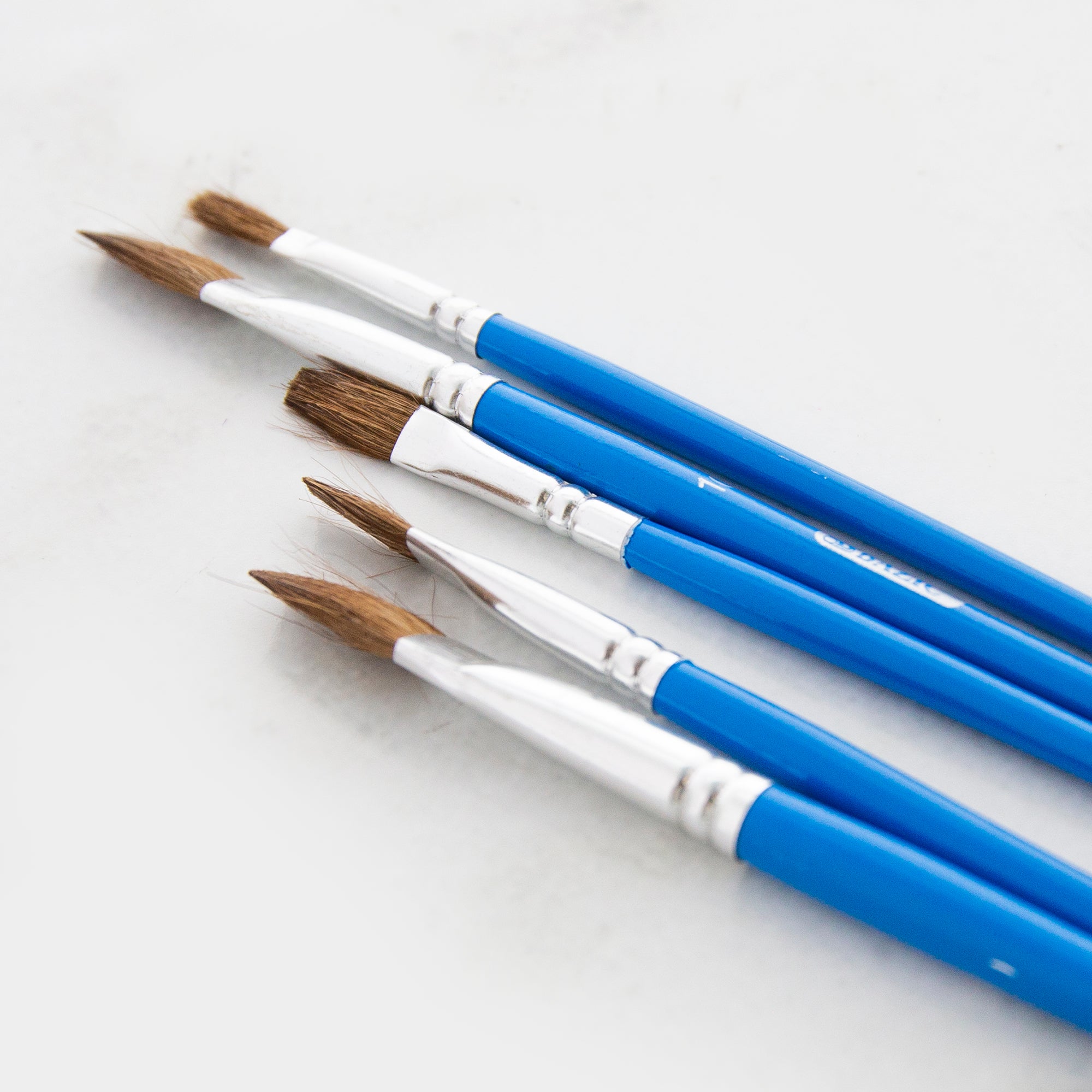 Flat Natural Hair Paint Brush (5/Pack)