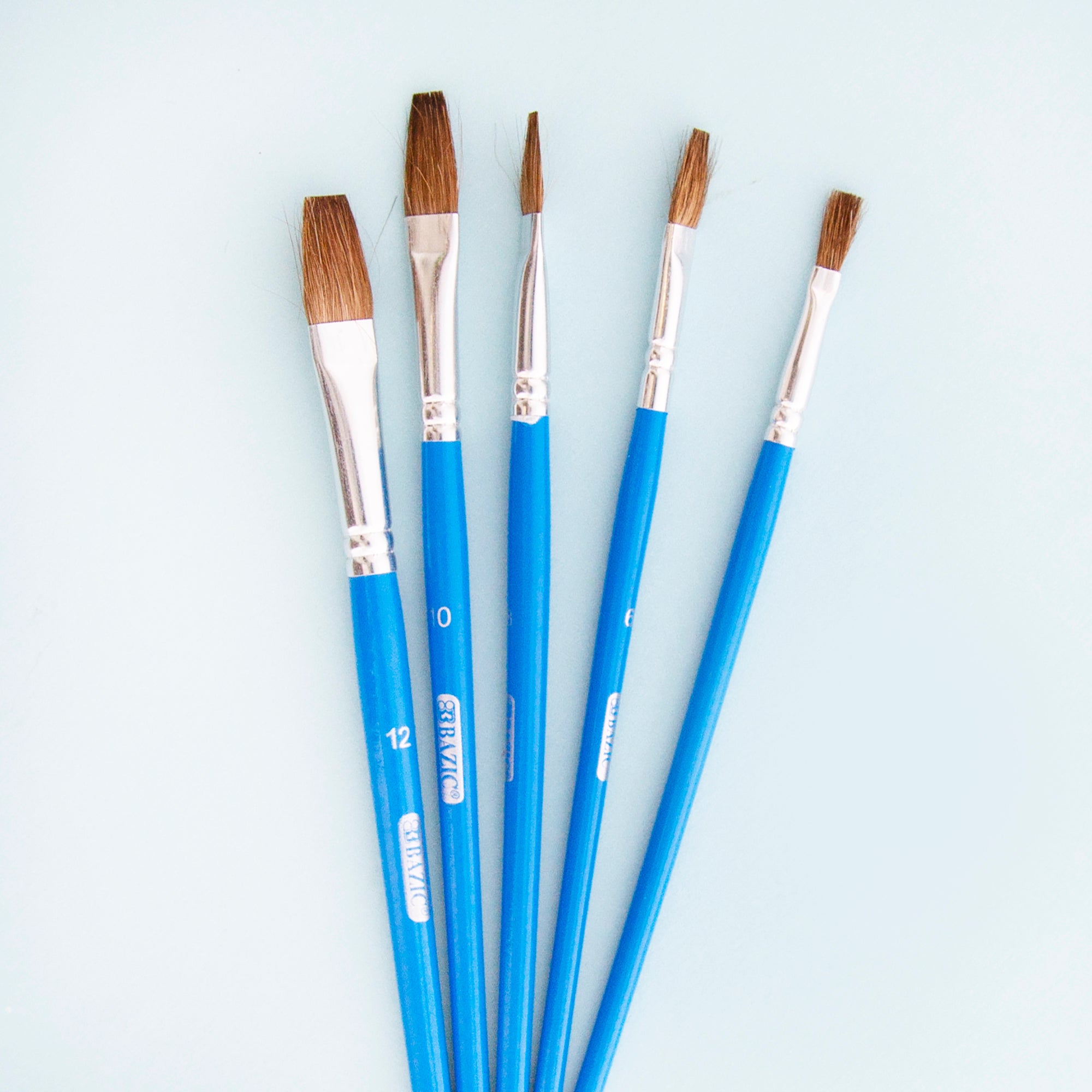 Flat Natural Hair Paint Brush (5/Pack)