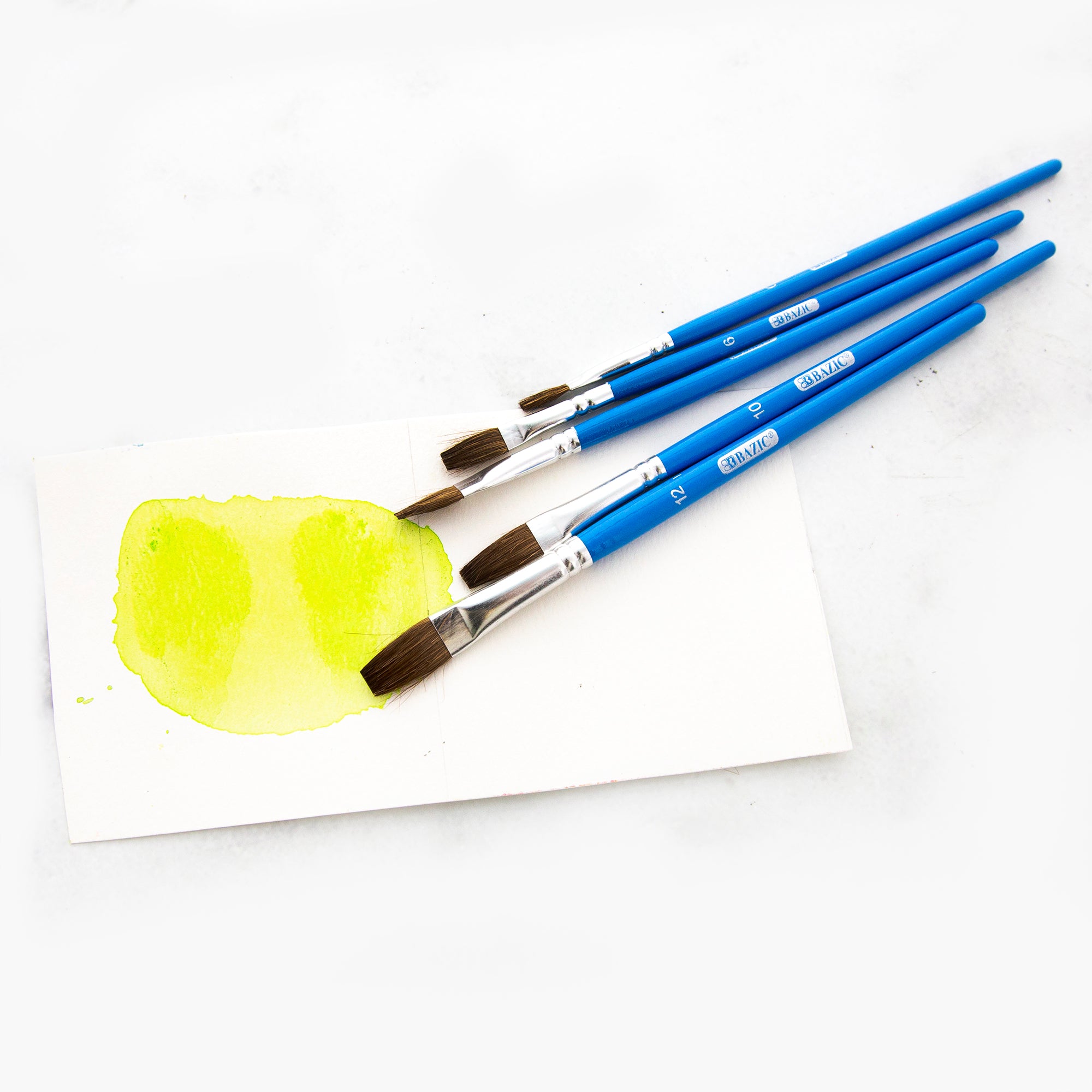 Flat Natural Hair Paint Brush (5/Pack)