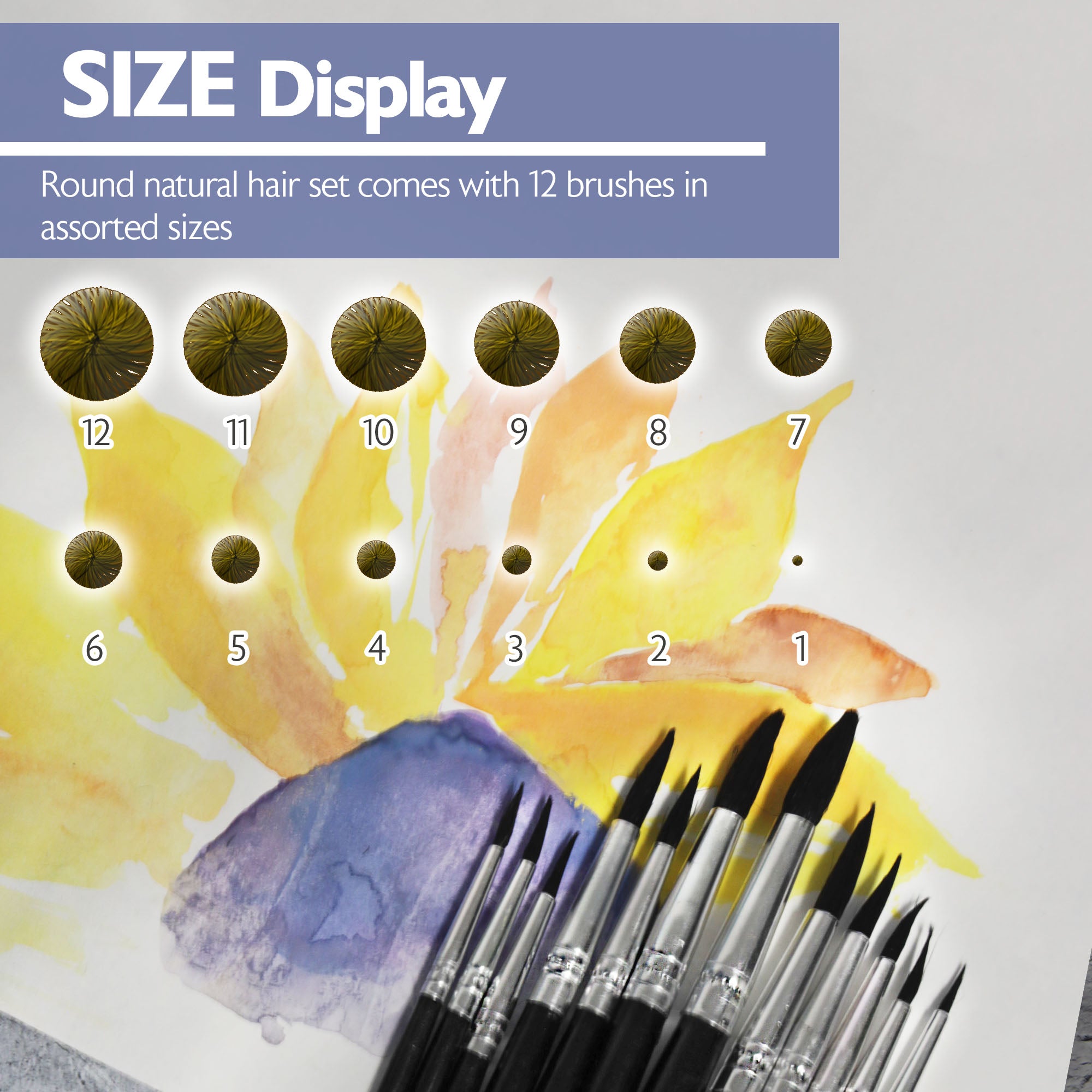 Round Natural Hair Paint Brush (12/Pack)