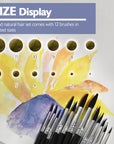 Round Natural Hair Paint Brush (12/Pack)