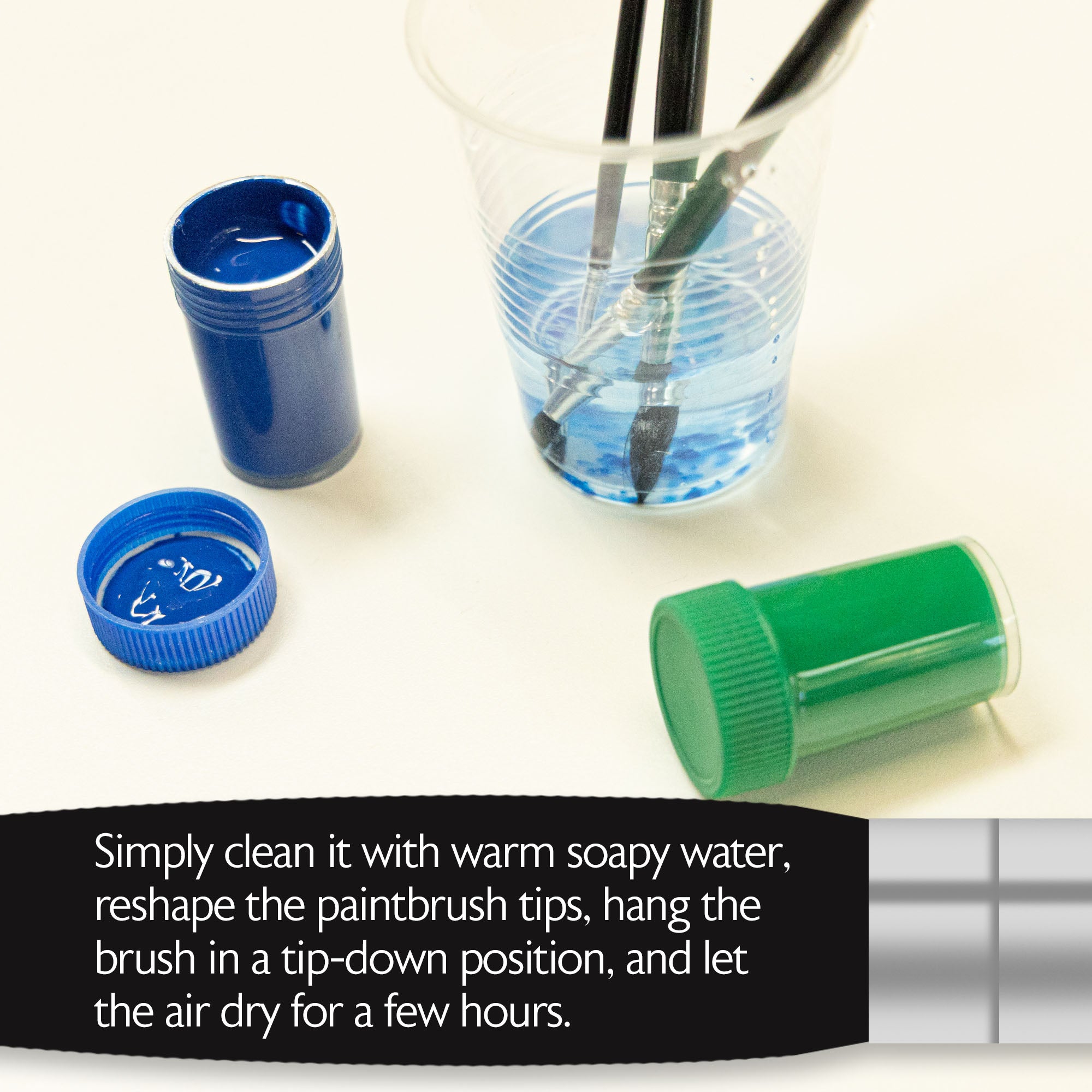 Round Natural Hair Paint Brush (12/Pack)