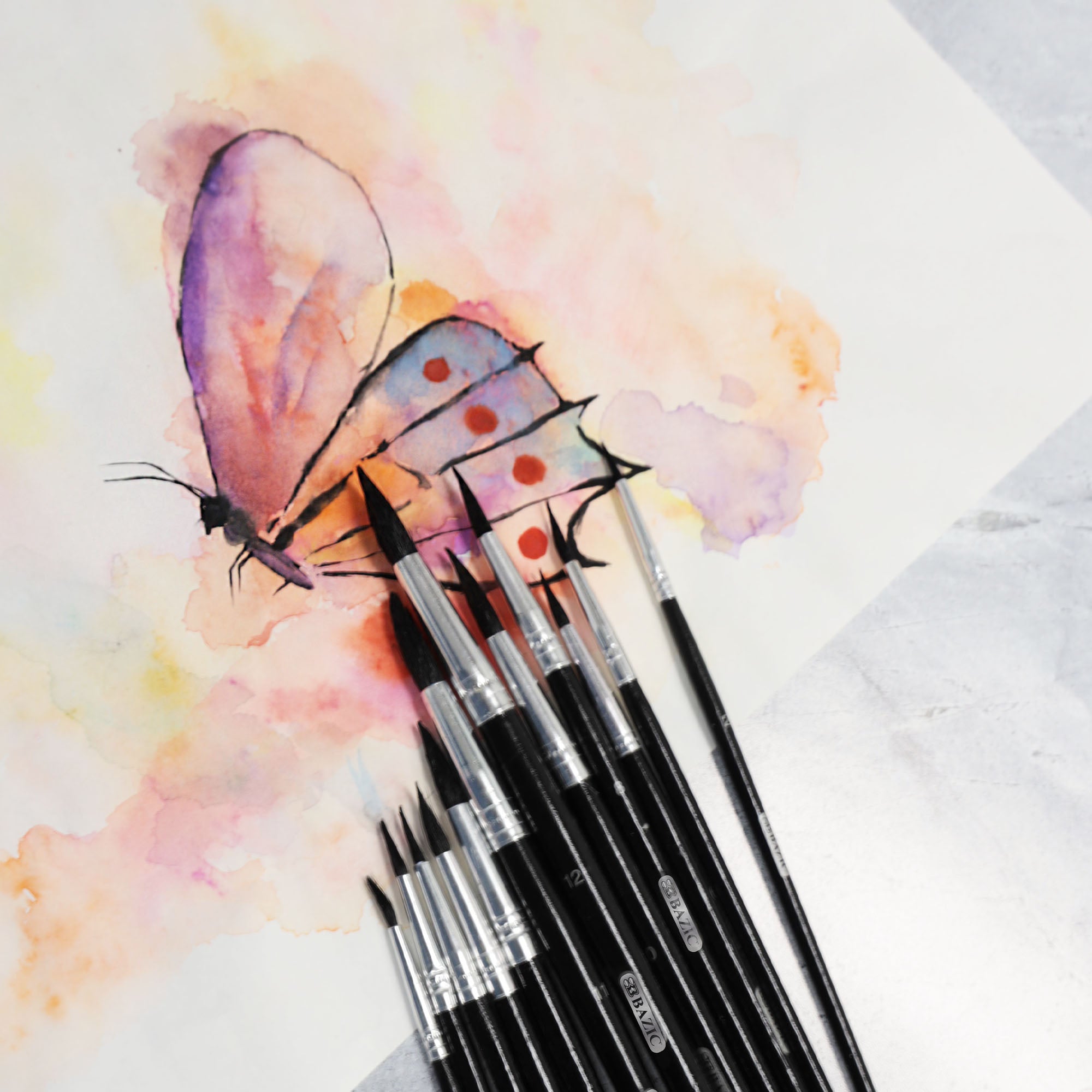 Round Natural Hair Paint Brush (12/Pack)