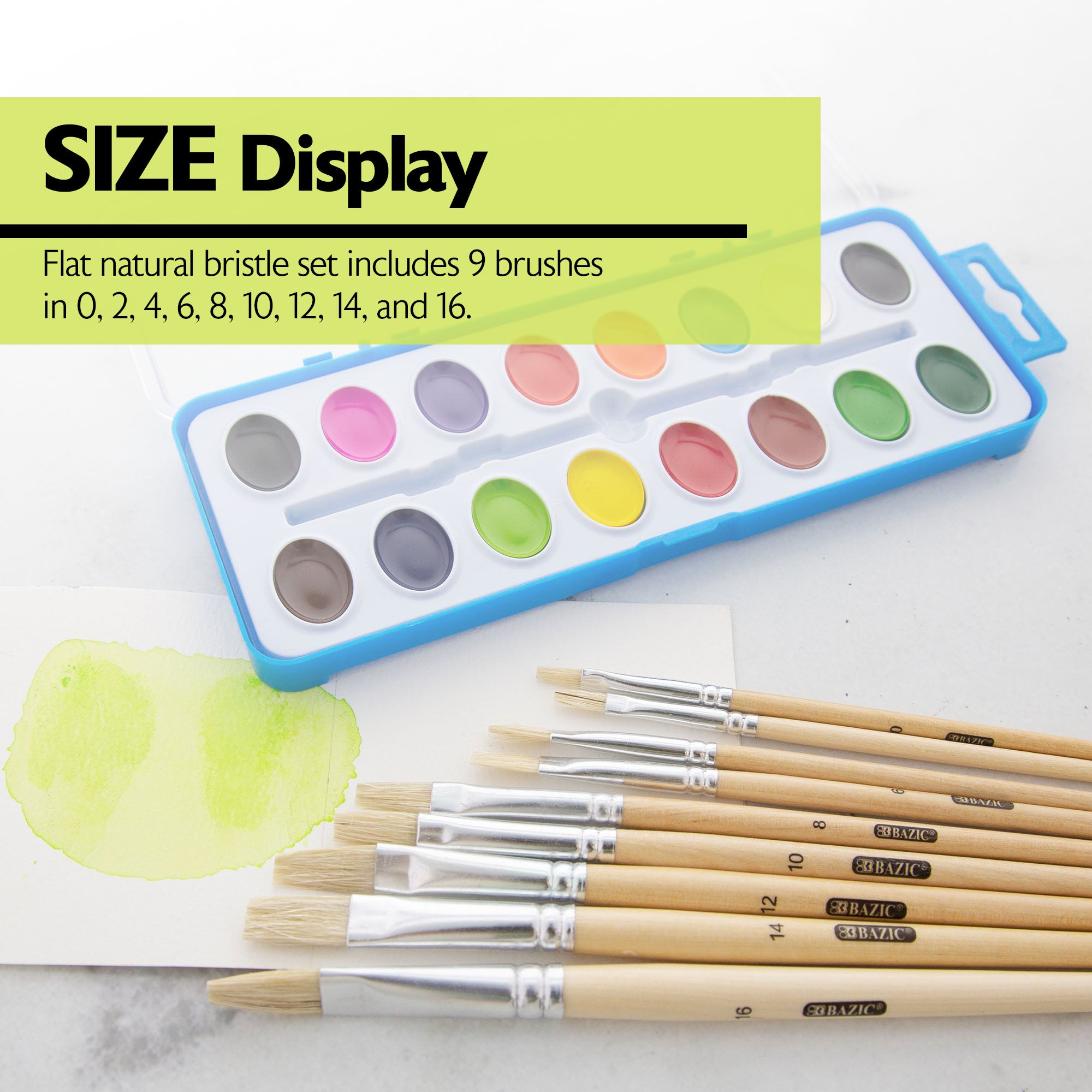 Flat Natural Bristle Paint Brush (9/Pack)