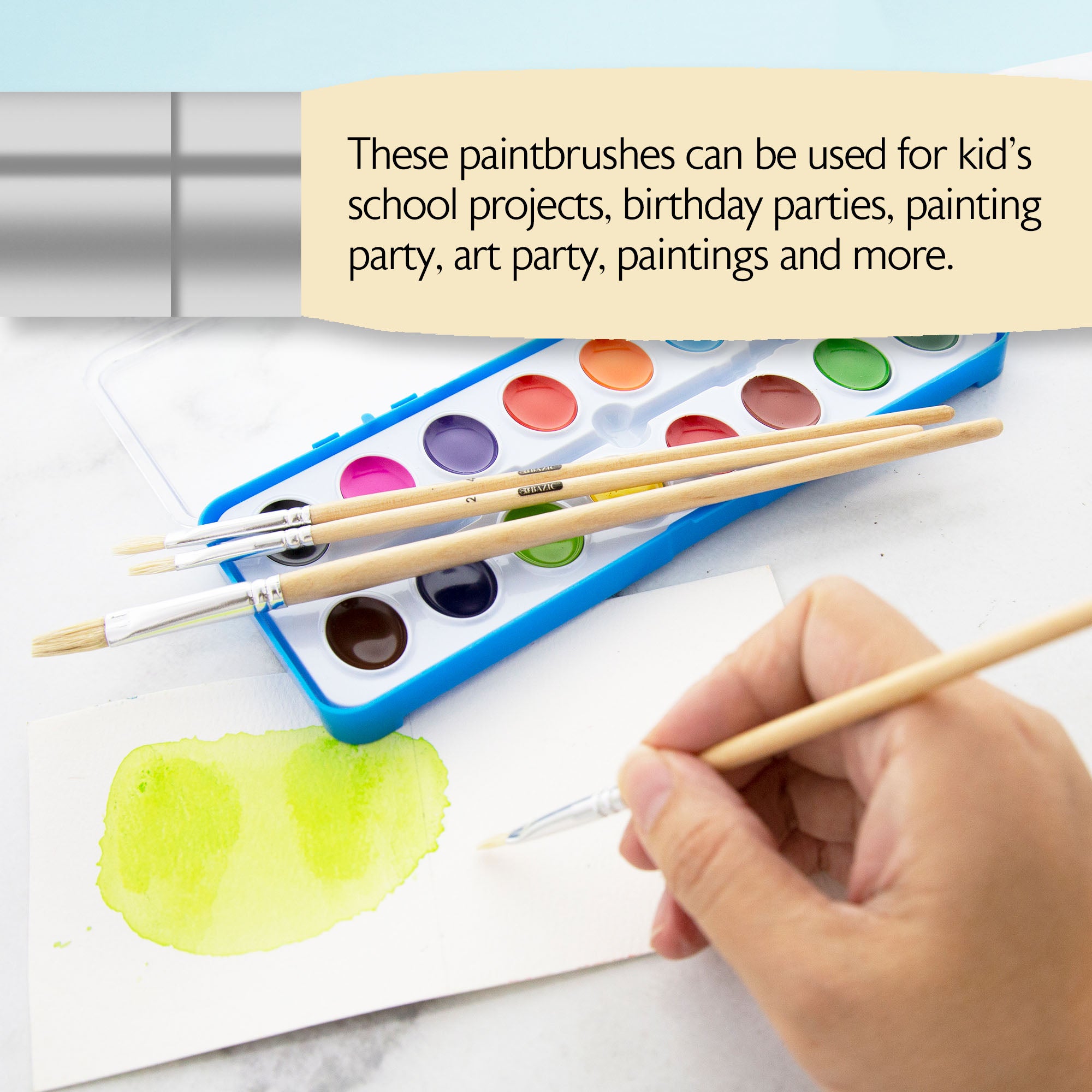 Flat Natural Bristle Paint Brush (9/Pack)