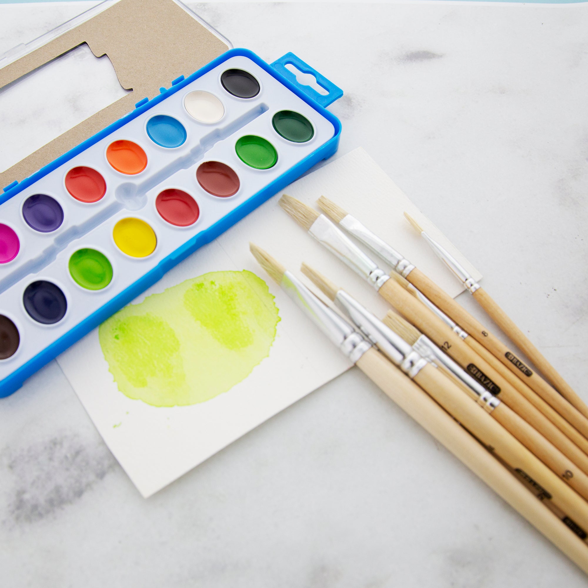 Flat Natural Bristle Paint Brush (9/Pack)