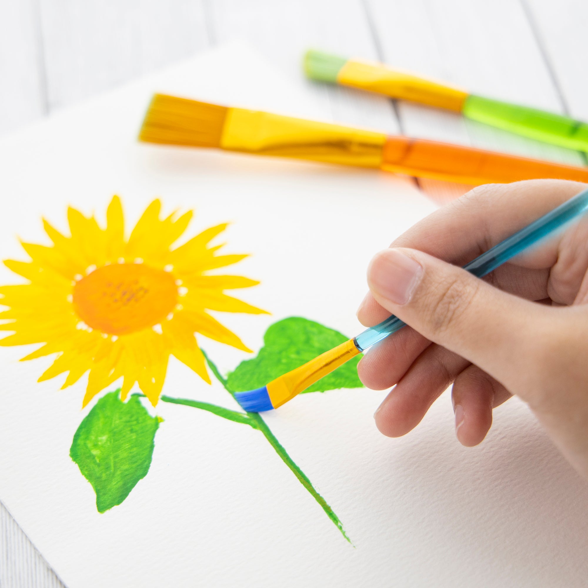 Paint Brush w/ Translucent Handle set (5/Pack)