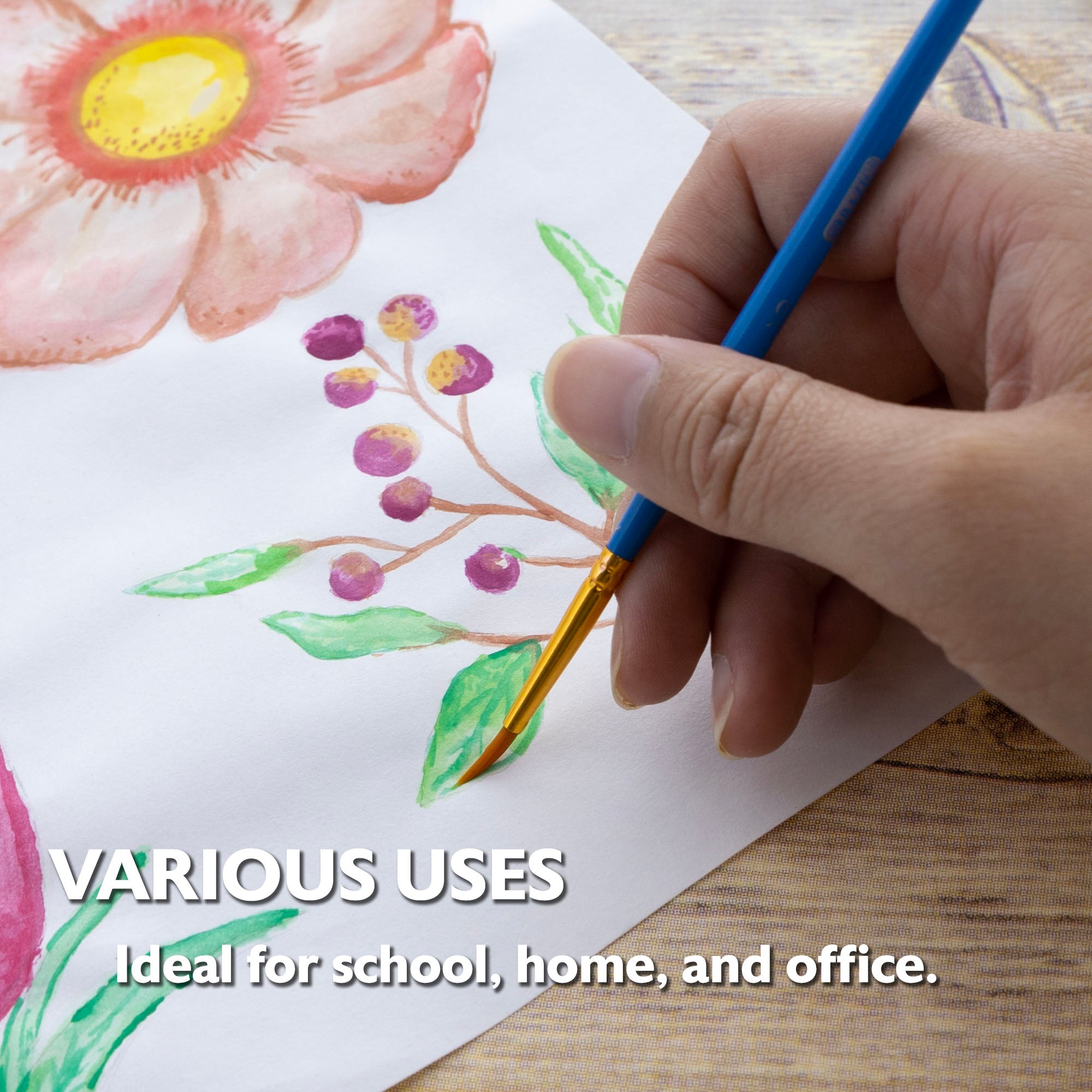 25-pieces Assorted All Purpose Brushes