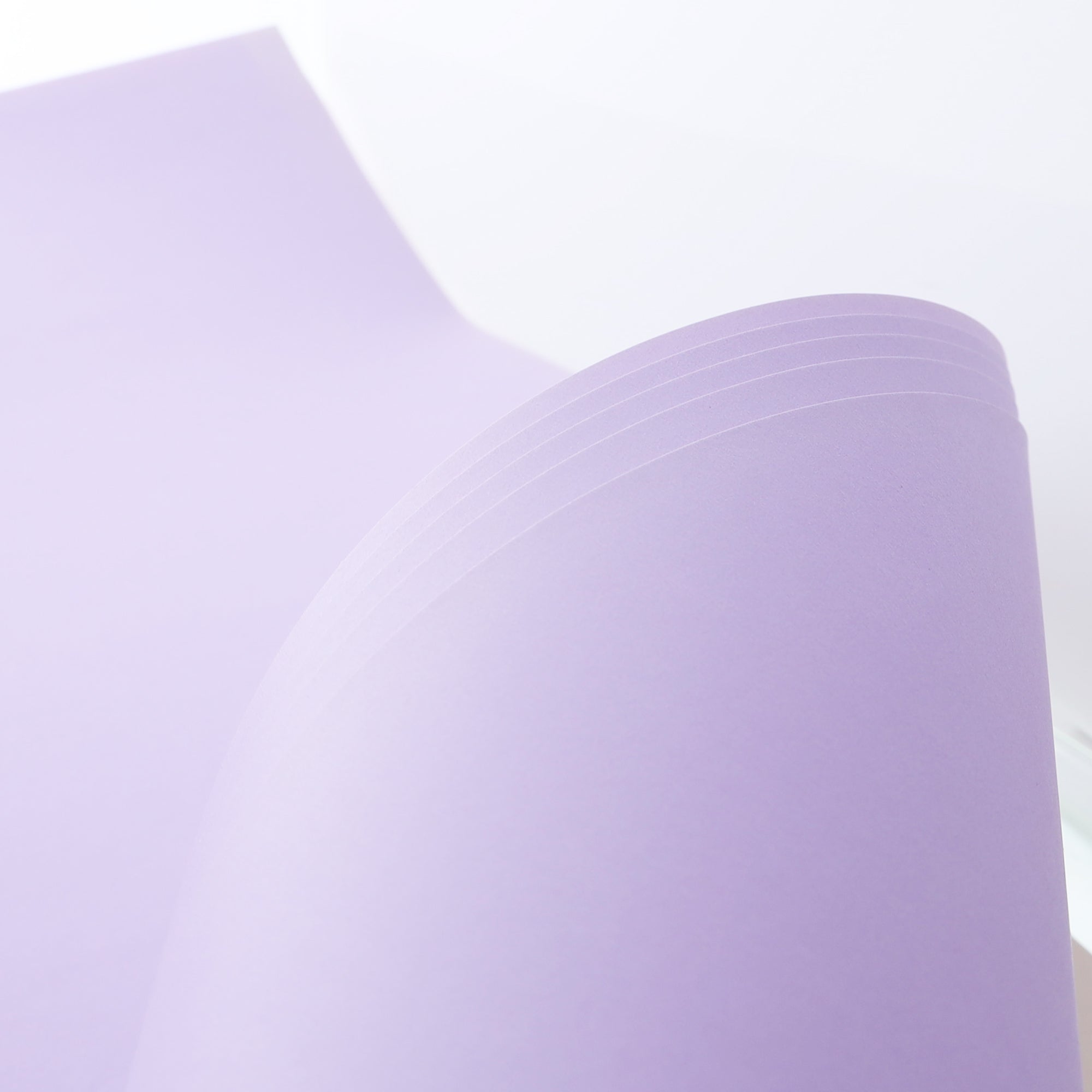 22" X 28" Lavender Poster Board