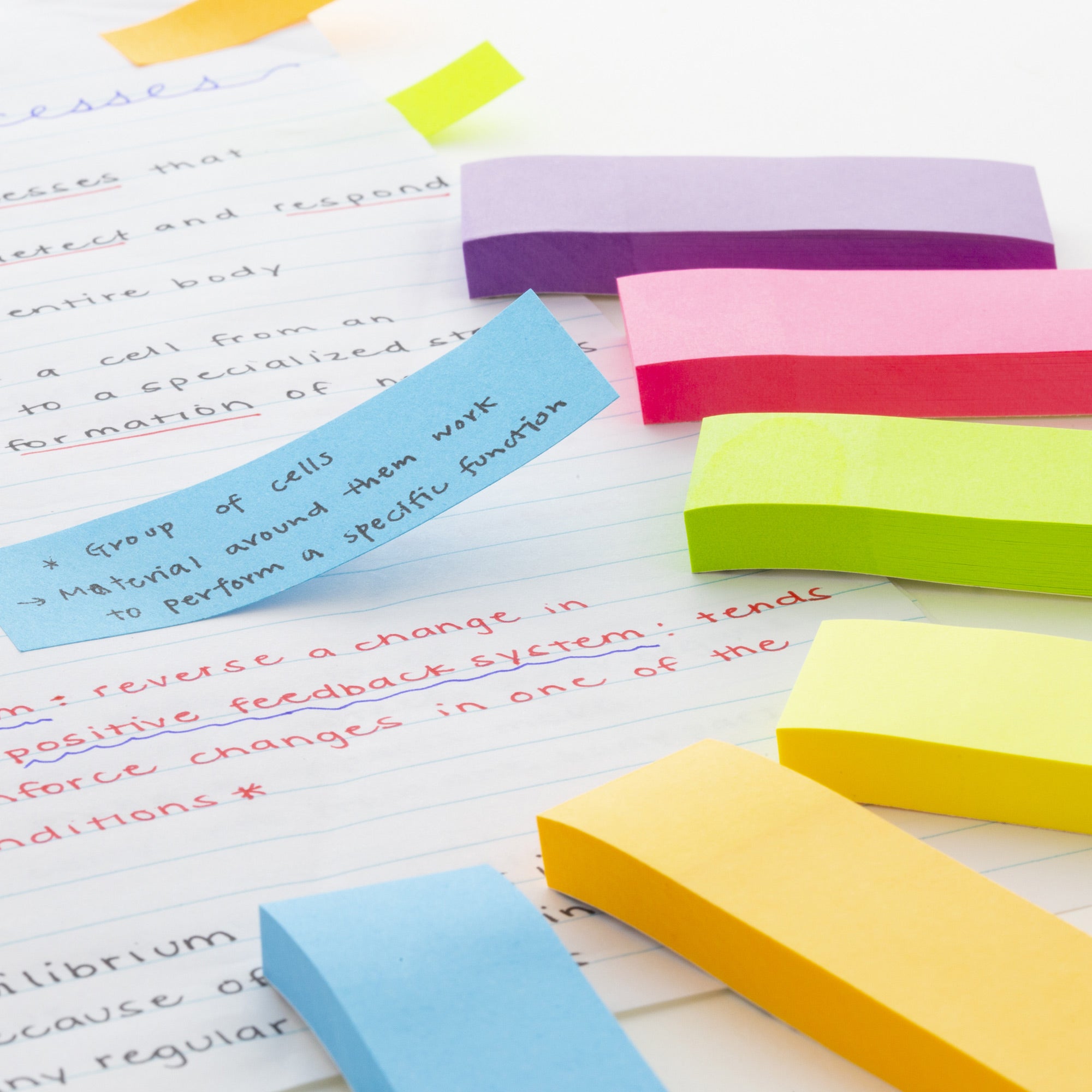 80 Ct. 1" X 3" Neon Page Markers (6/Pack)