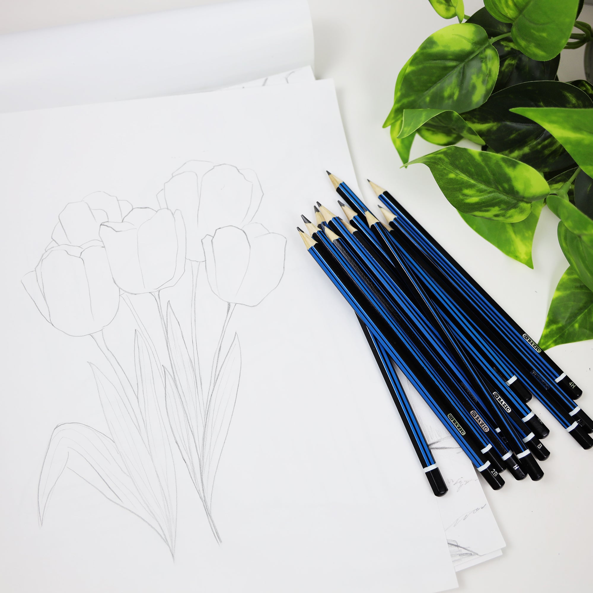 Design & Drafting Pencil Set (12 Assortment)