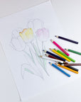 12 Mini Colored Pencils