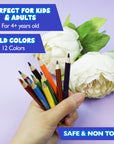 12 Mini Colored Pencils
