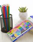 Next 12 Colored Pencils