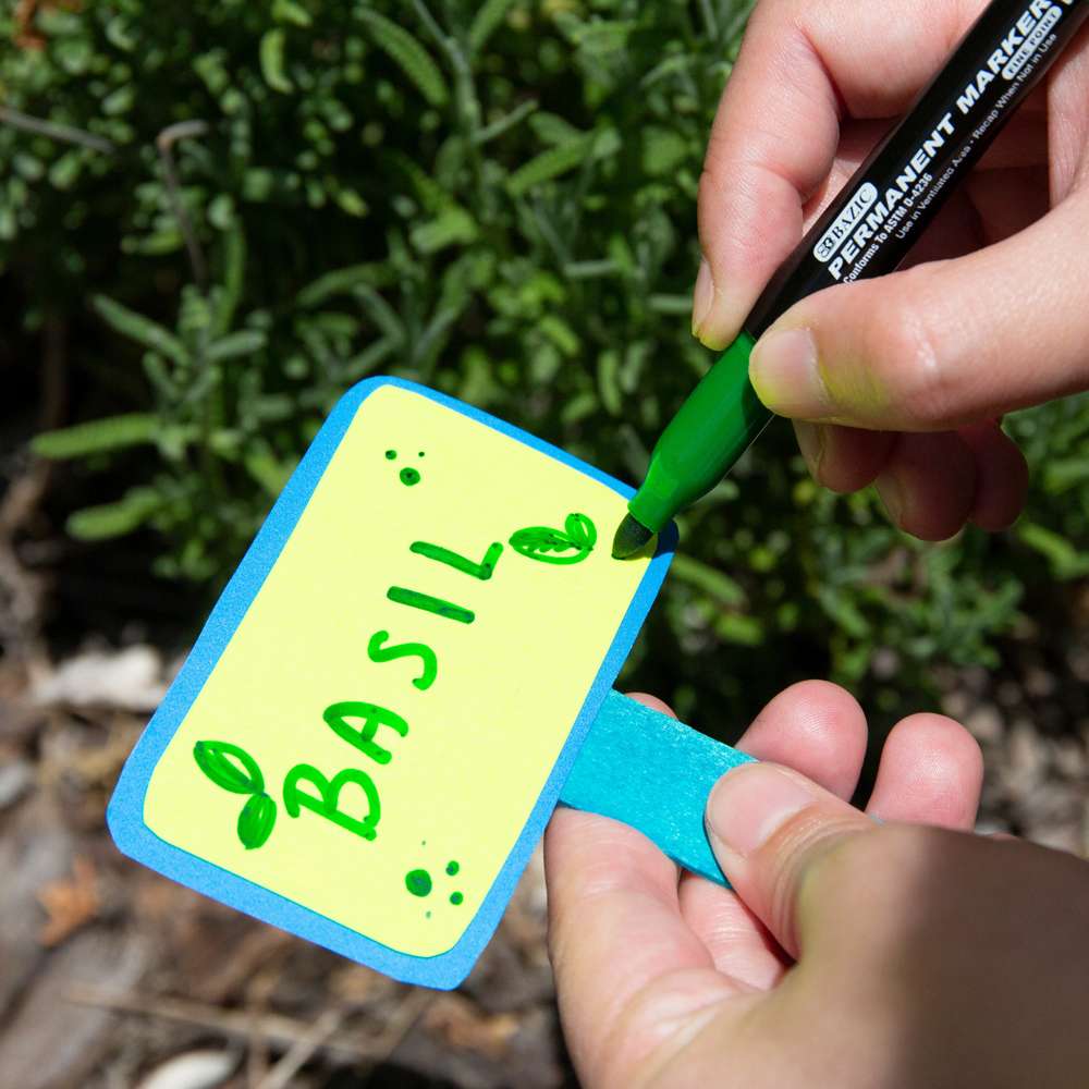 Bright Colors Fine Tip Permanent Markers w/ Pocket Clip (5/Pack)