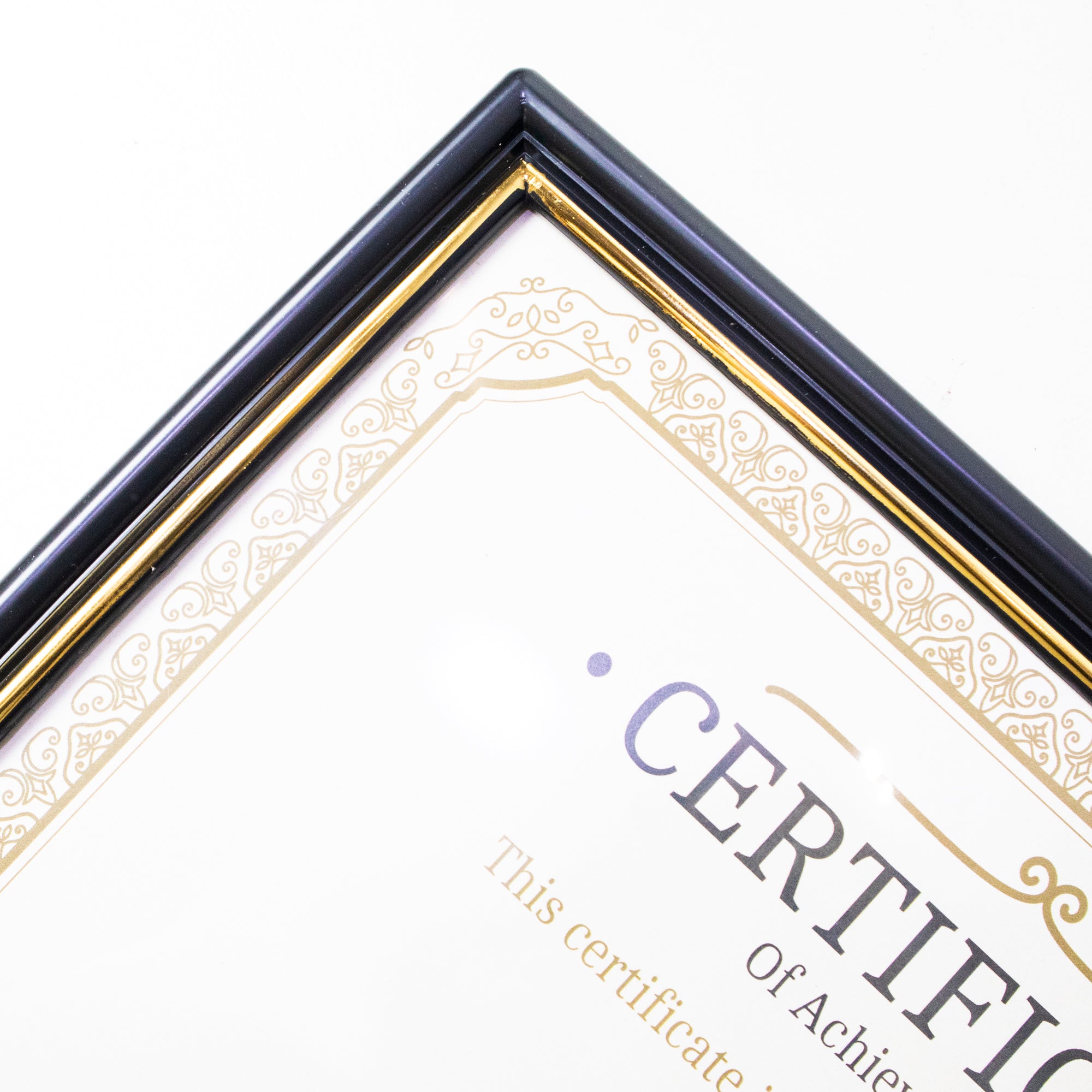 8.5" X 11" Document Frame w/ Gold Border