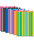 Poly 2-Pockets Portfolio - Stripes