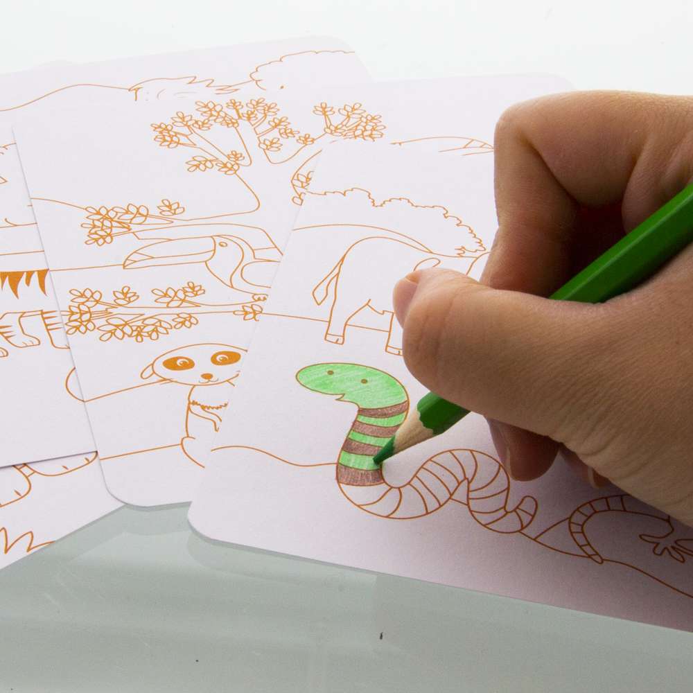 Animal Series Assorted Sticker (80/Bag)