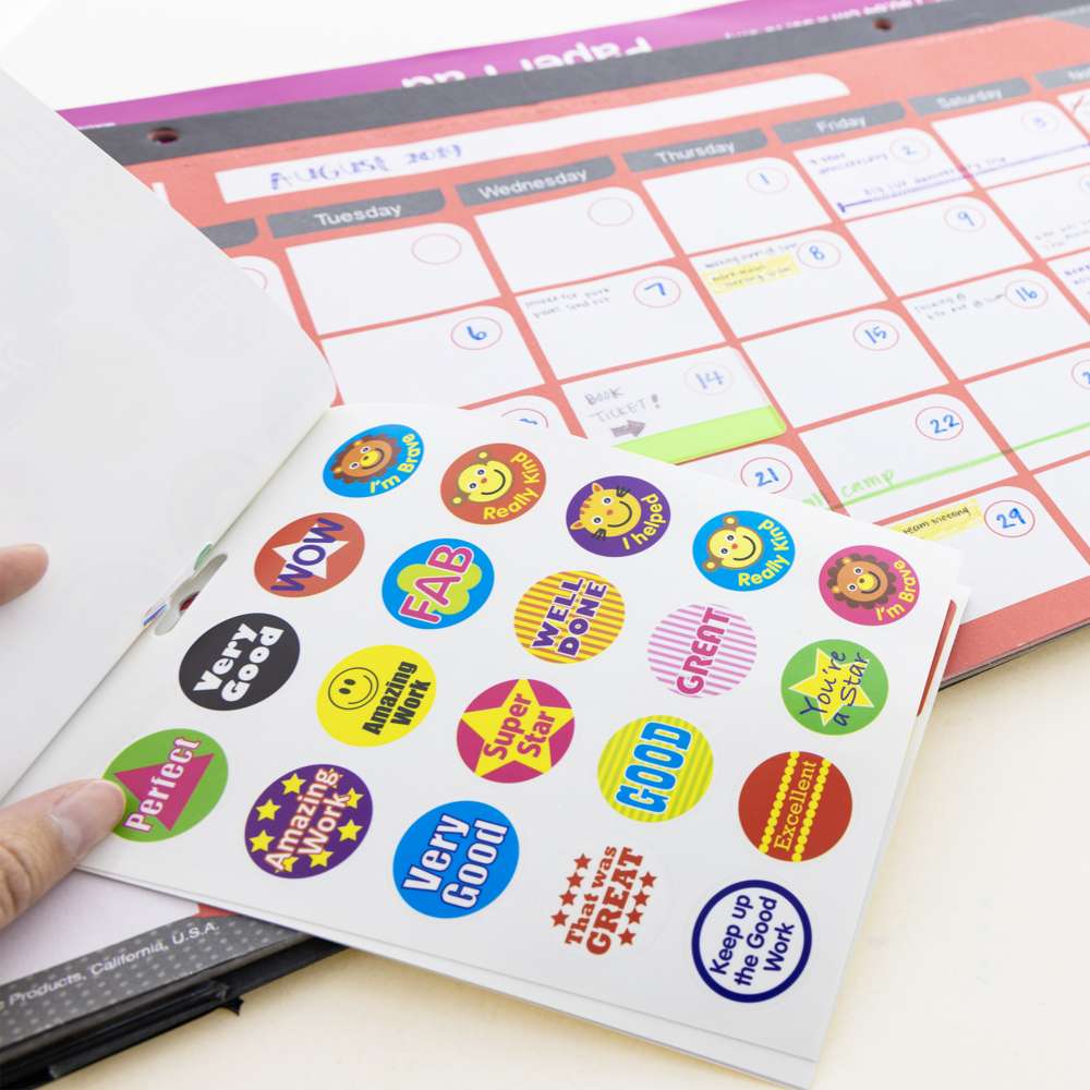 Reward Plastic Sticker book