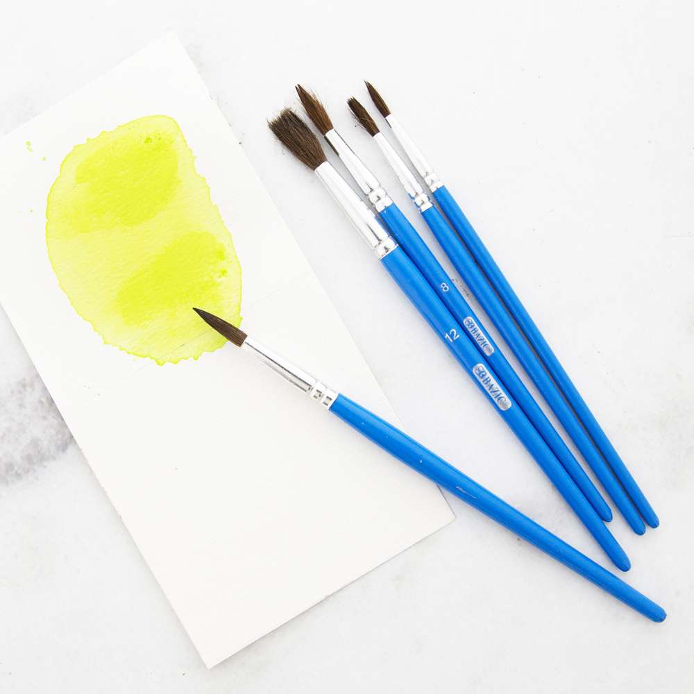 Round Natural Hair Paint Brush (5/Pack)