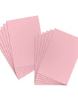 22" X 28" Poster Board - Pink