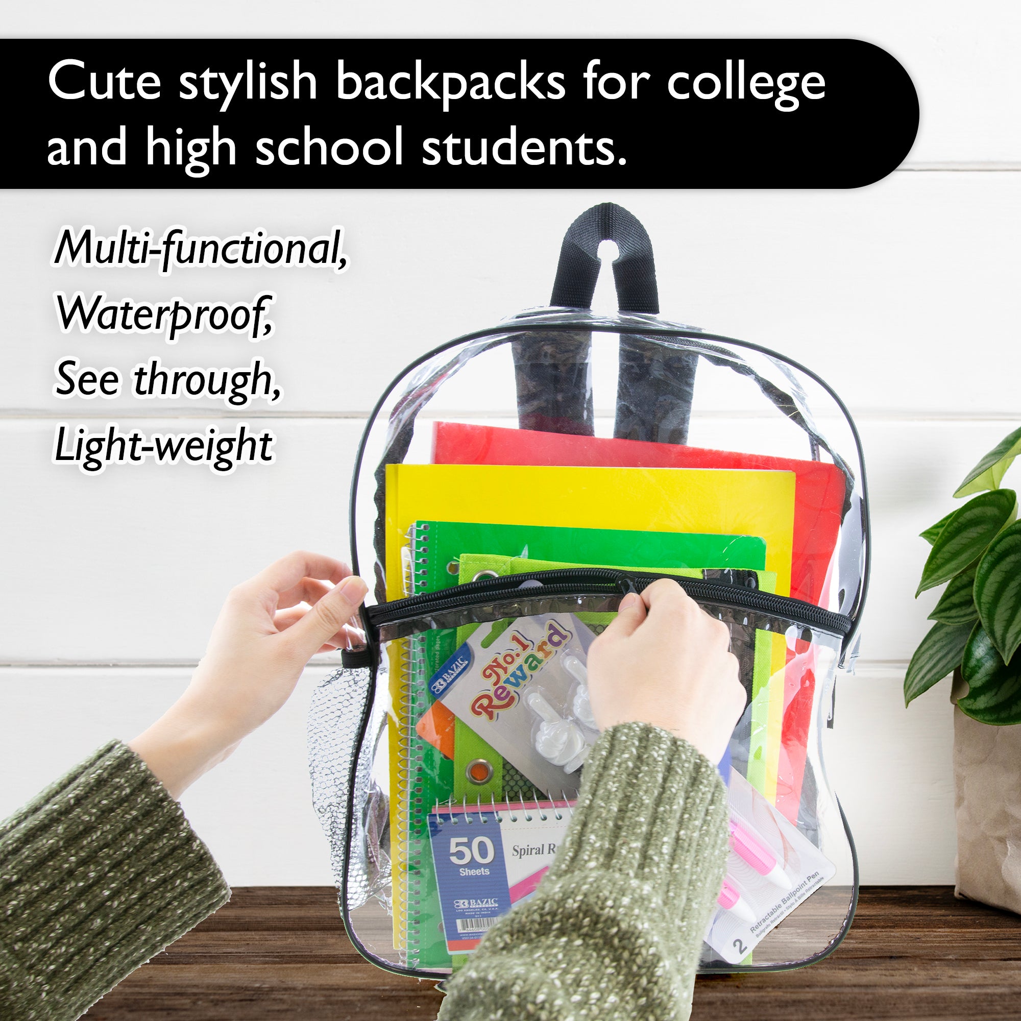 15&quot; Clair Clear Backpack