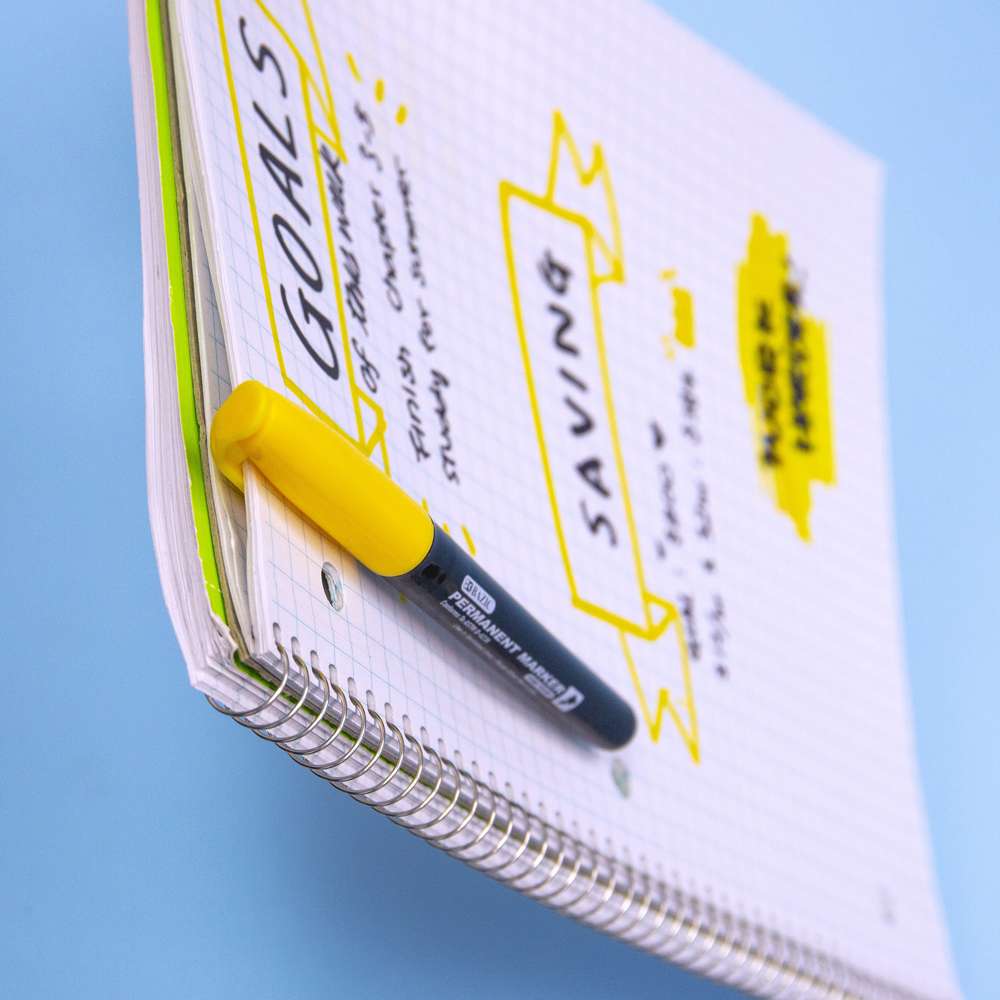 Bright Color Fine Tip Permanent Markers, Pocket Clip