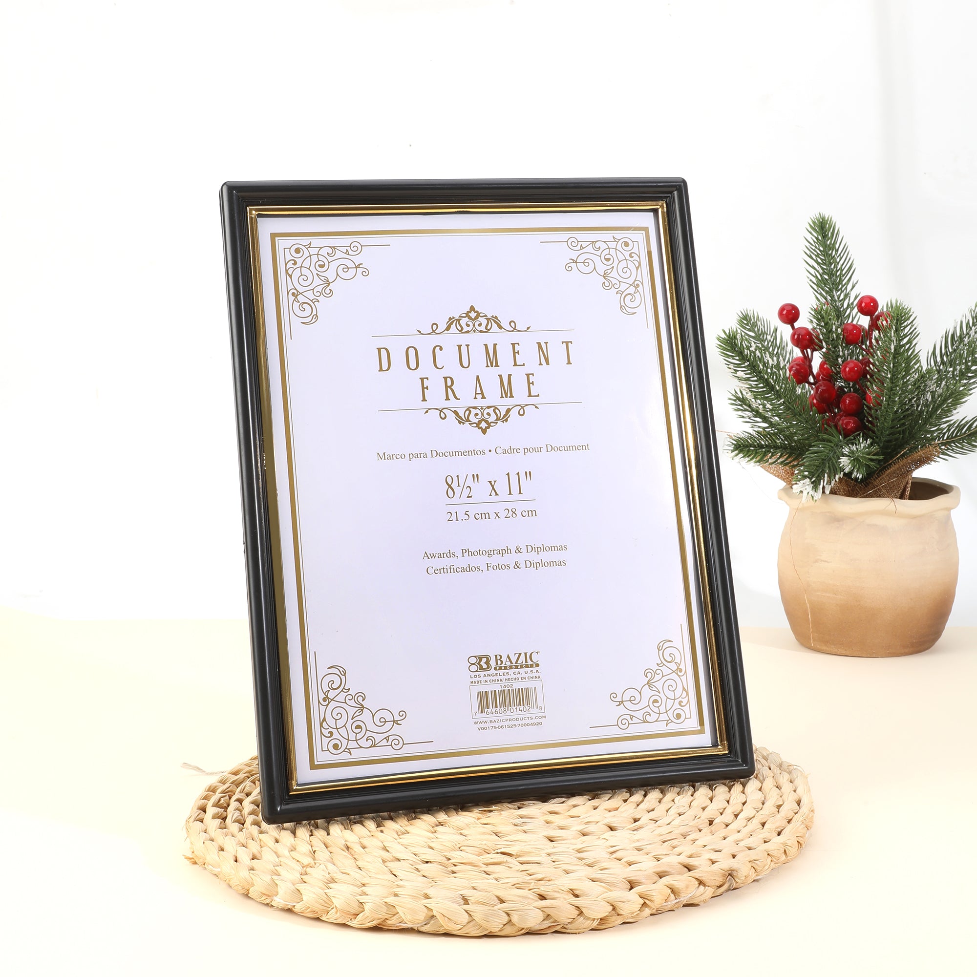 8.5" X 11" Document Frame w/ Gold Border