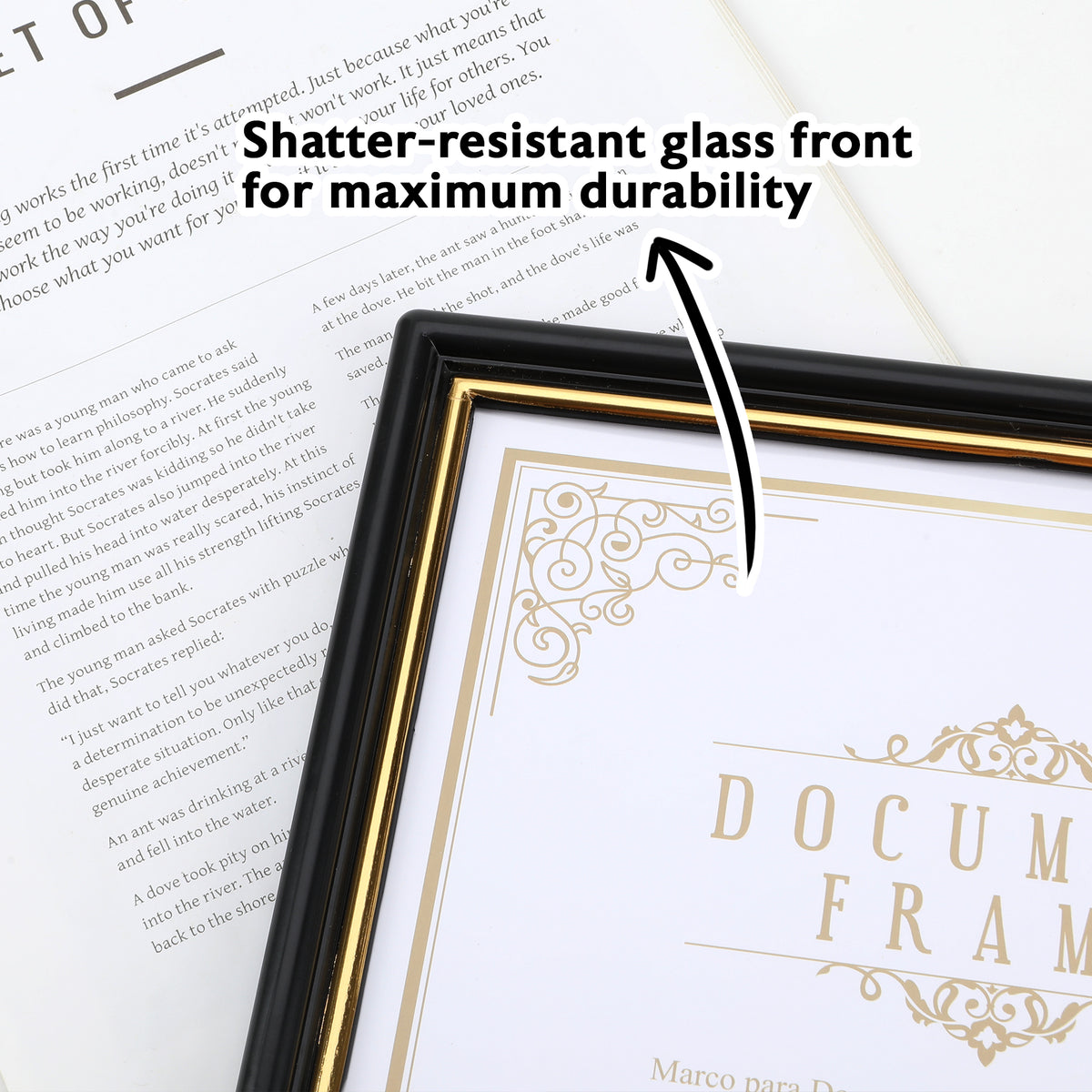 Document Frame with Gold Border, 8.5 x 11 in