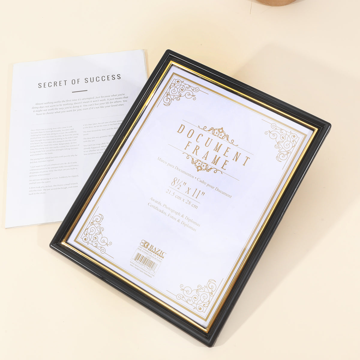 Document Frame with Gold Border, 8.5 x 11 in