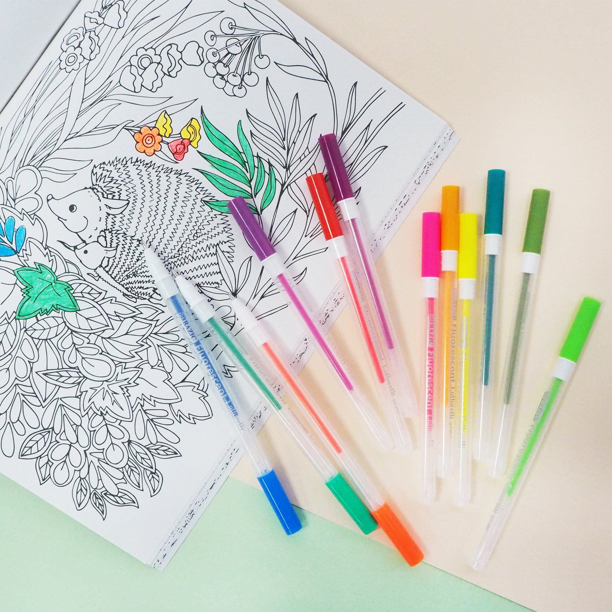 Gel Pens, 12 Fluorescent Colors, Medium Point