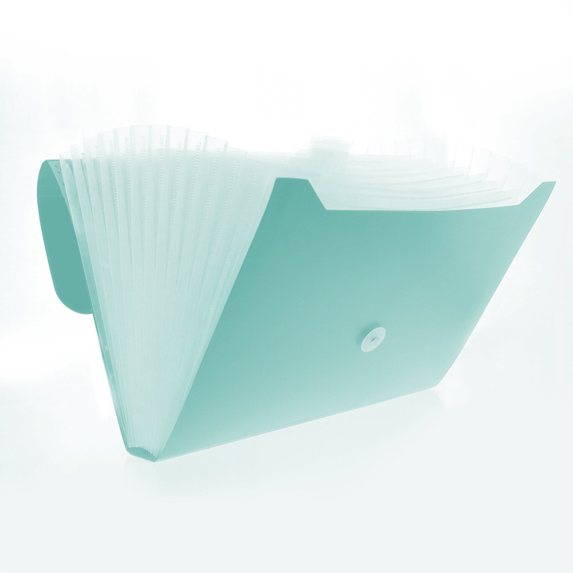 Pastel Edition 7-Pocket Expanding File, A4/Letter