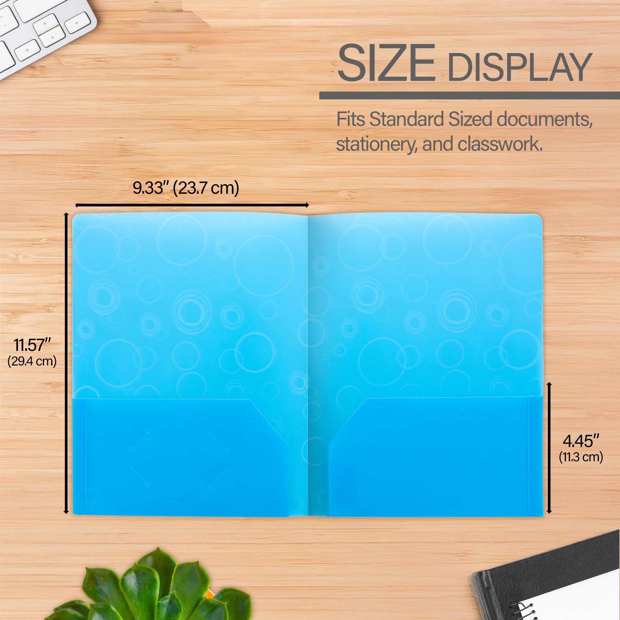 Assorted Poly 2-Pocket Folder, for School Office Documents