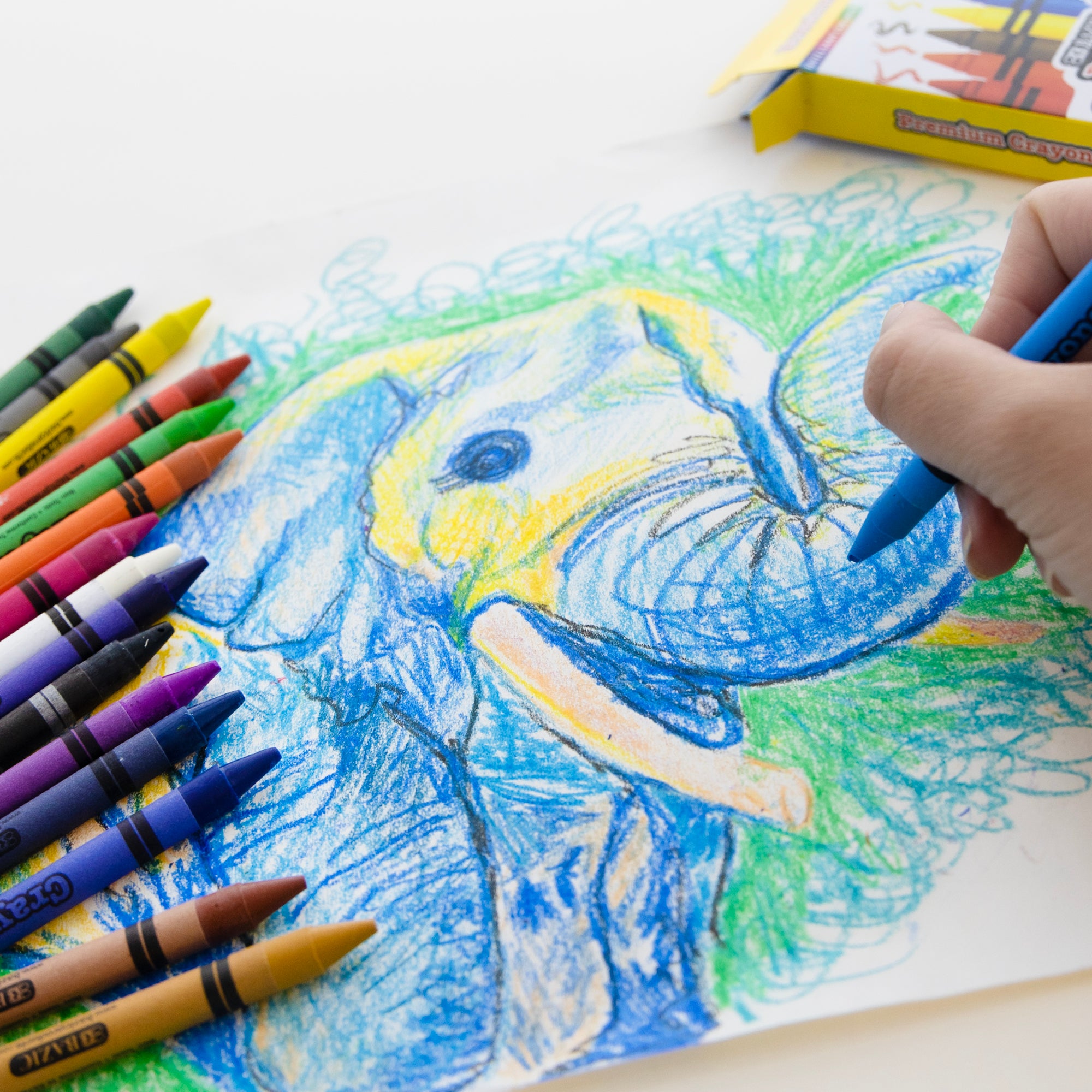 16 Color Premium Crayons