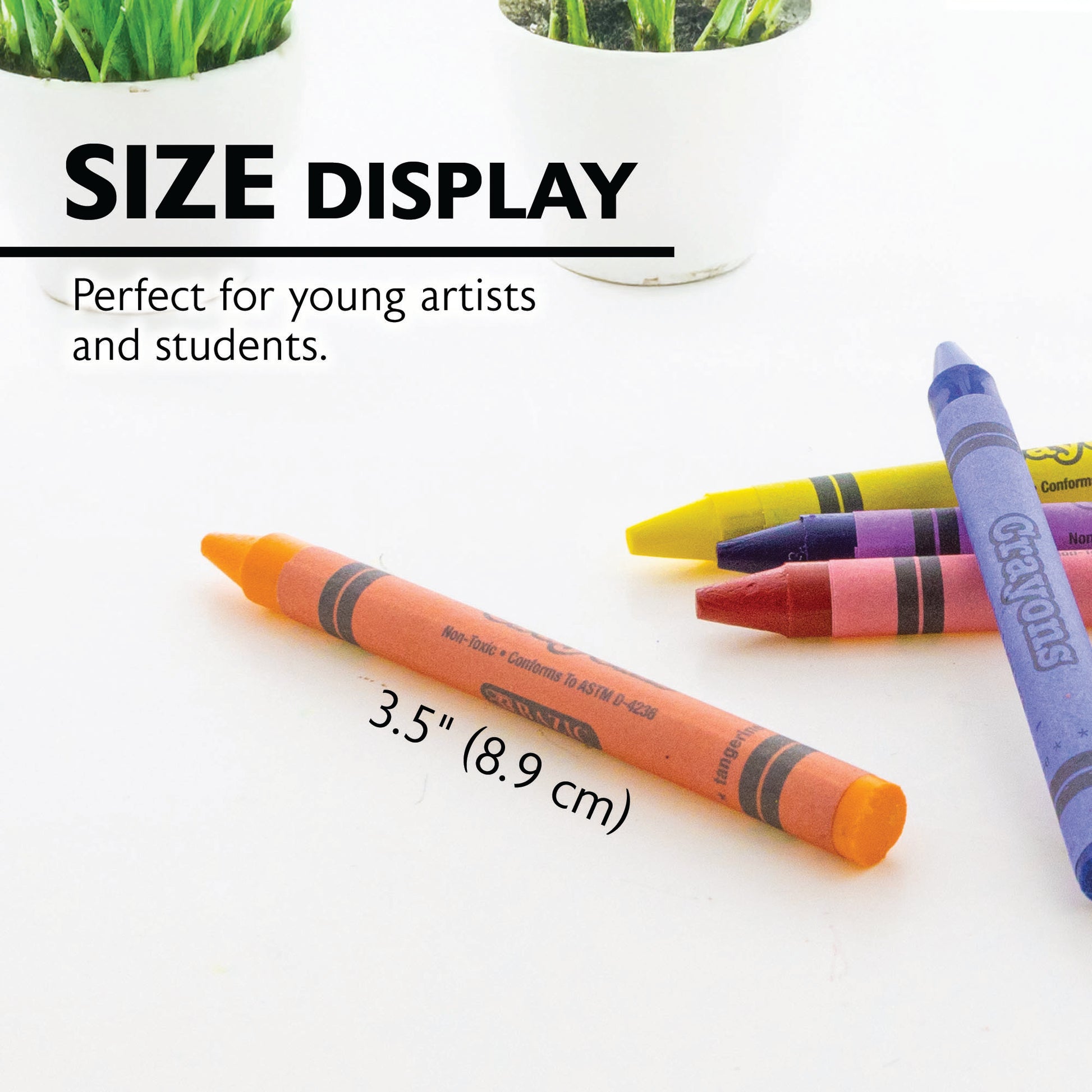 Premium Crayons in Plastic Storage